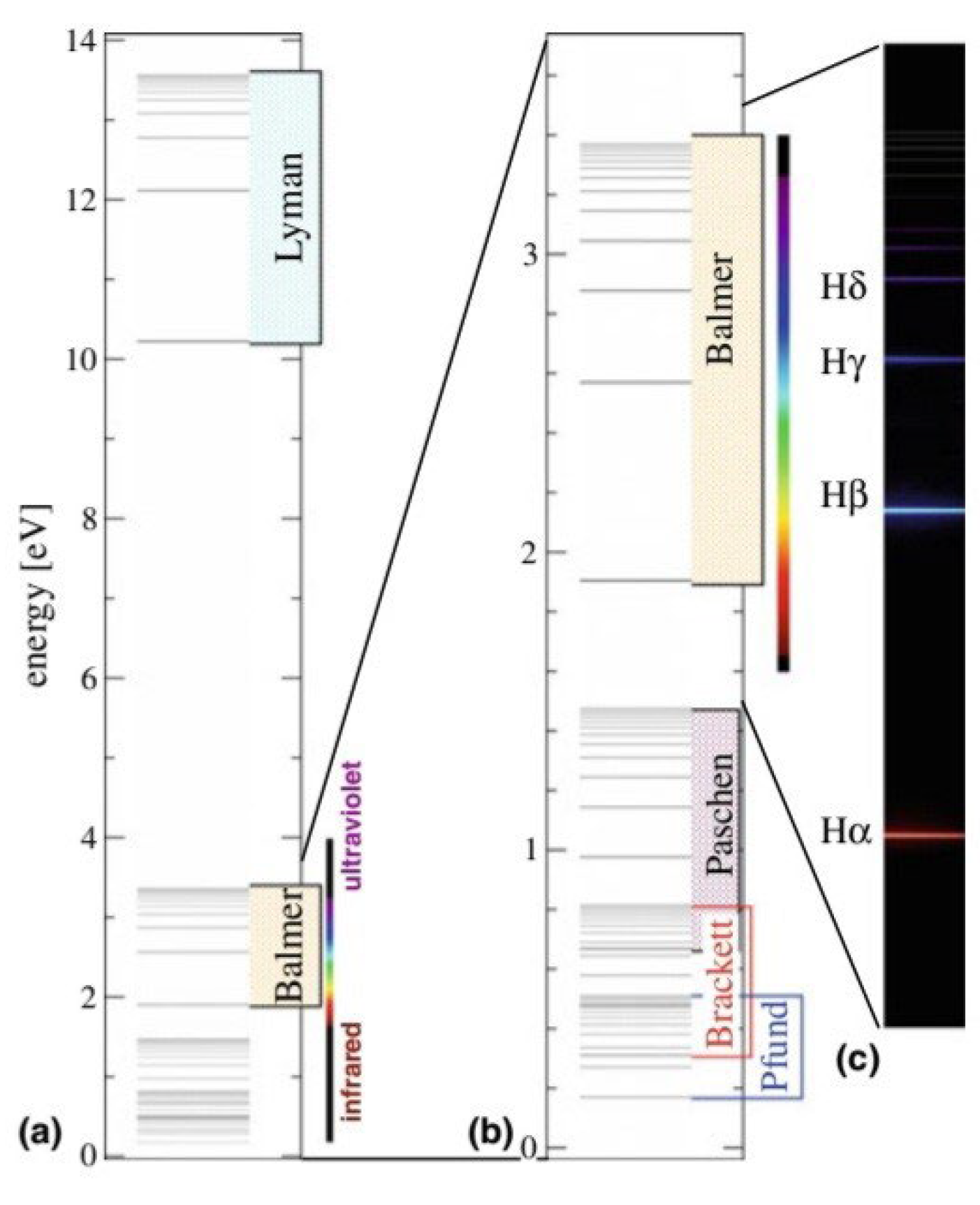 Preprints 173396 g002