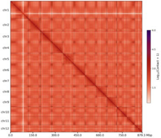 Preprints 222554 g002