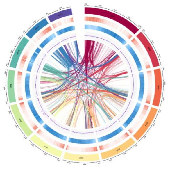 Preprints 222554 g003