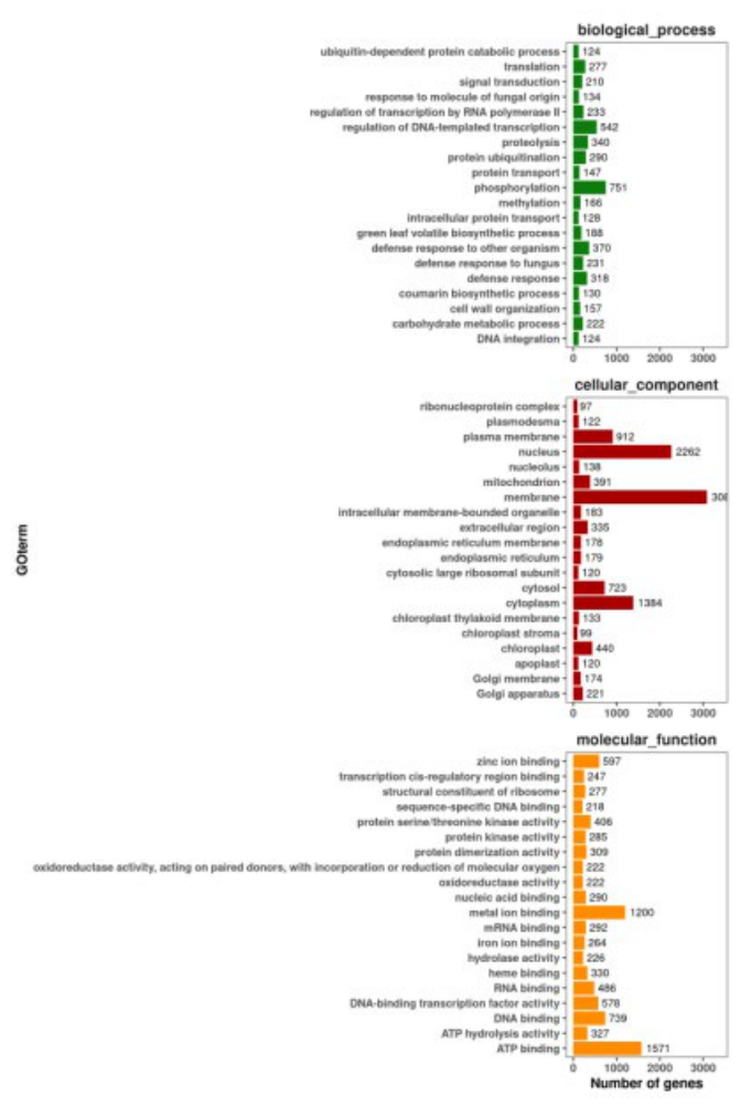 Preprints 222554 g004