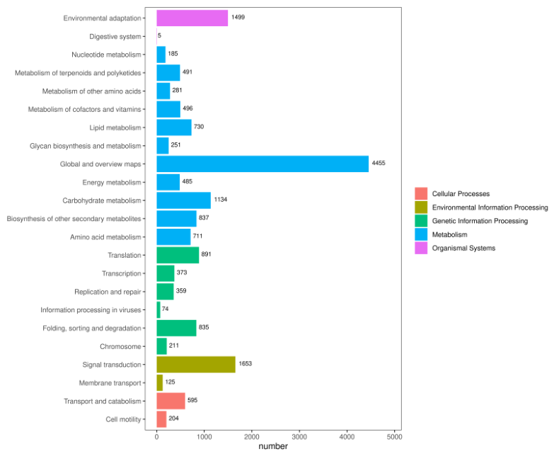 Preprints 222554 g005