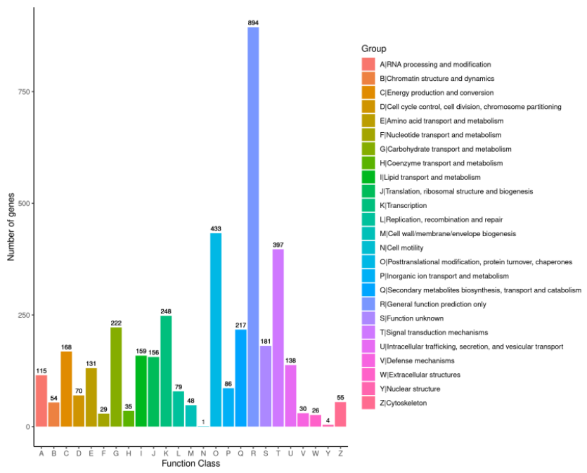 Preprints 222554 g006
