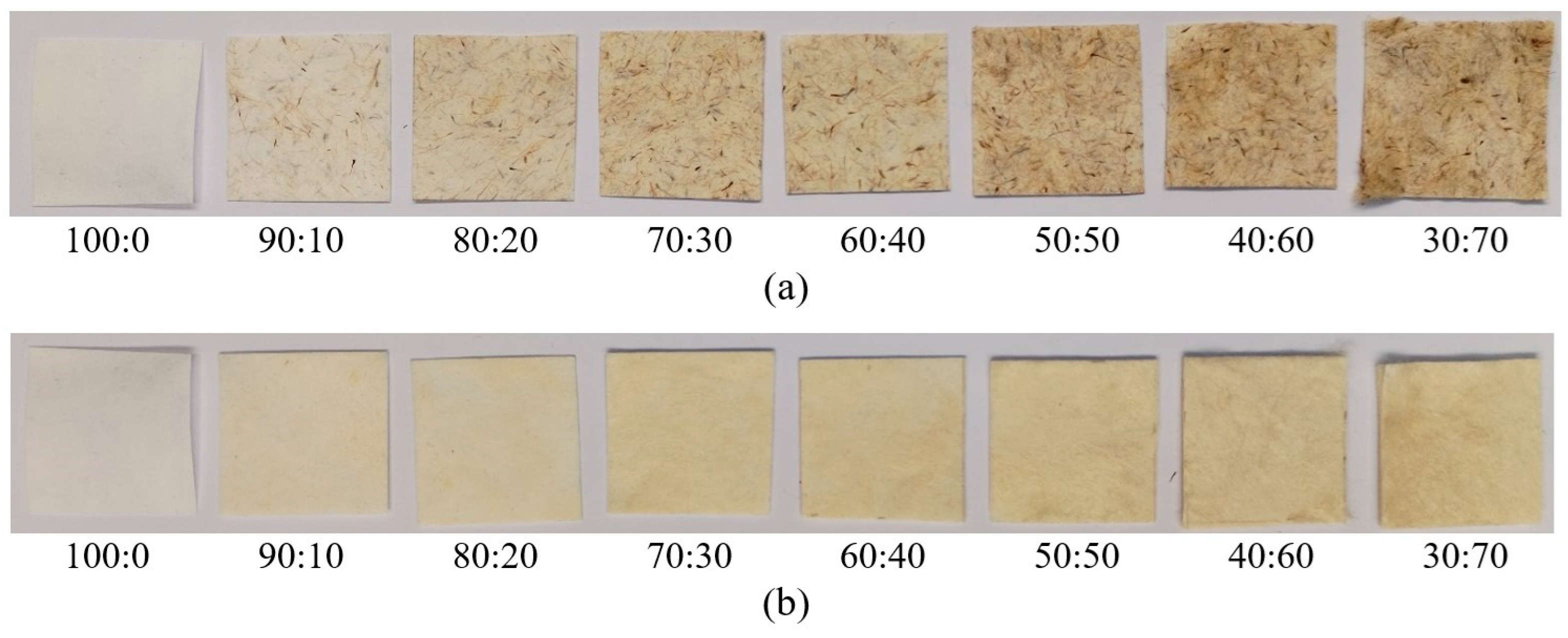 Preprints 92987 g003
