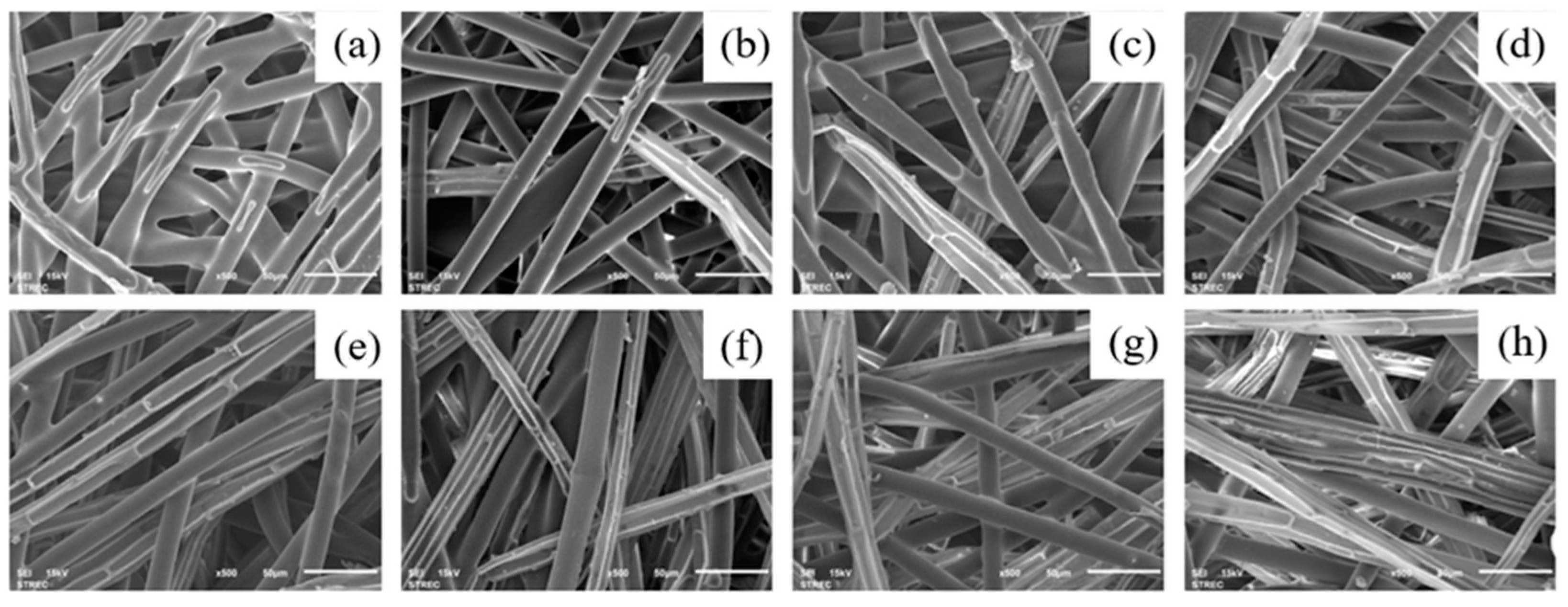 Preprints 92987 g004