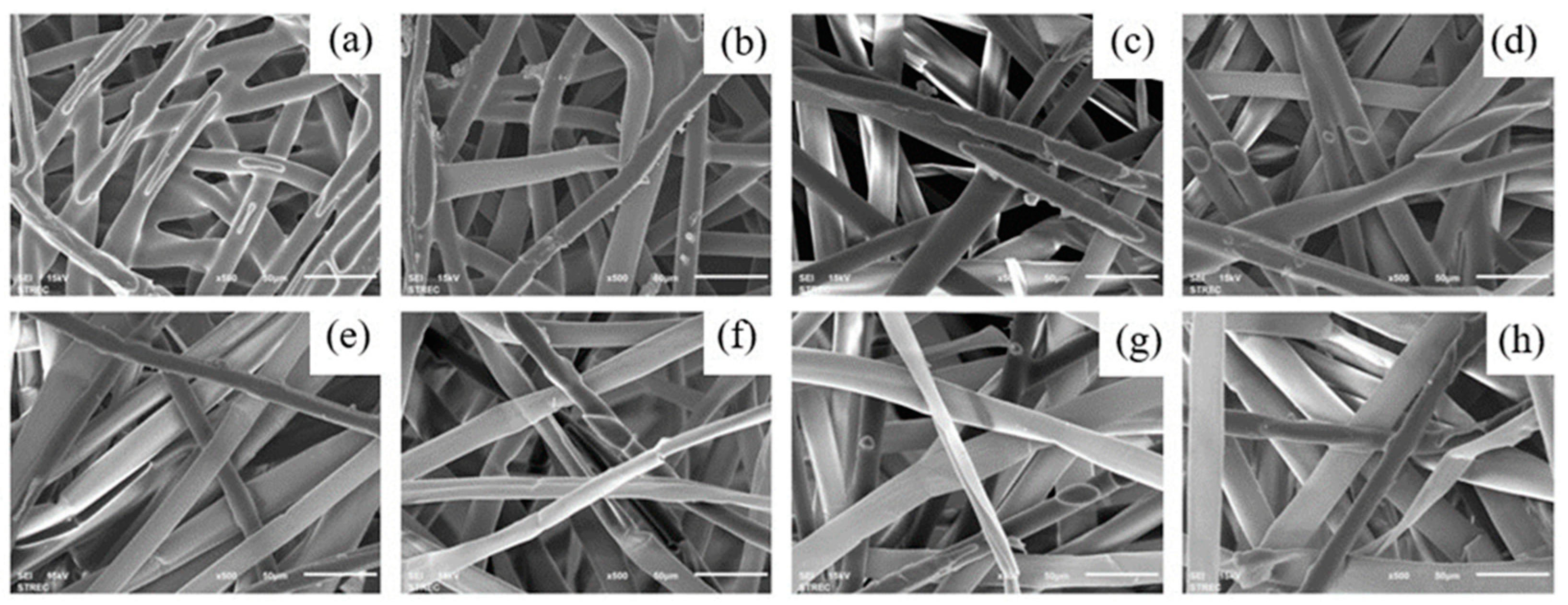 Preprints 92987 g005