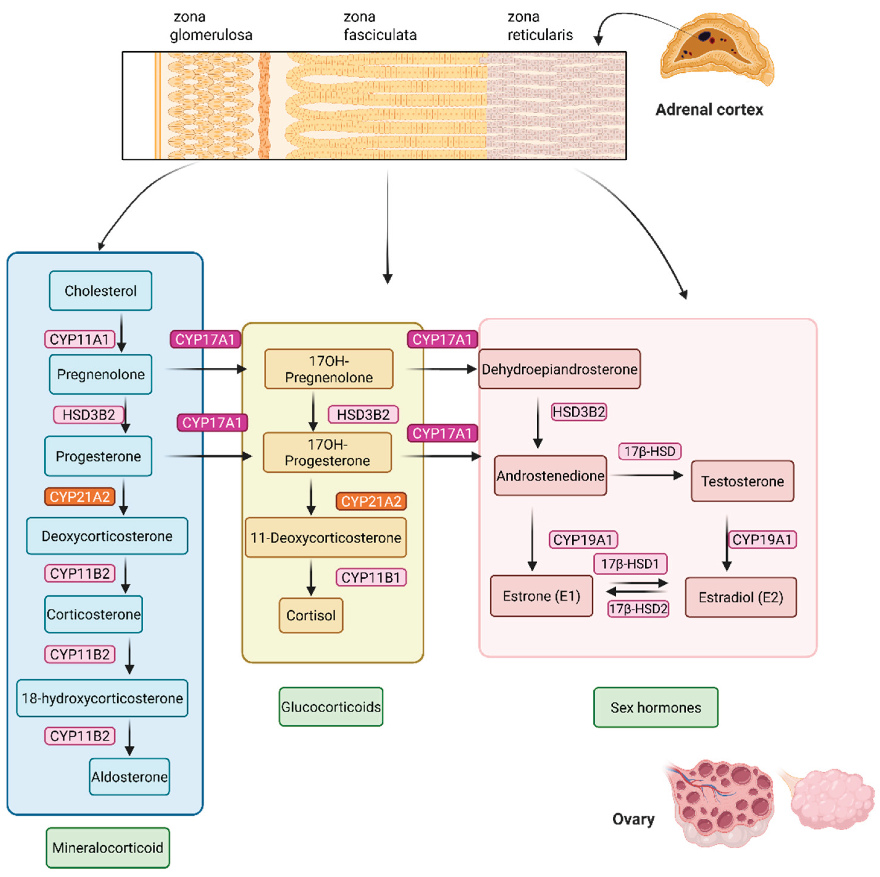 Preprints 187894 g001