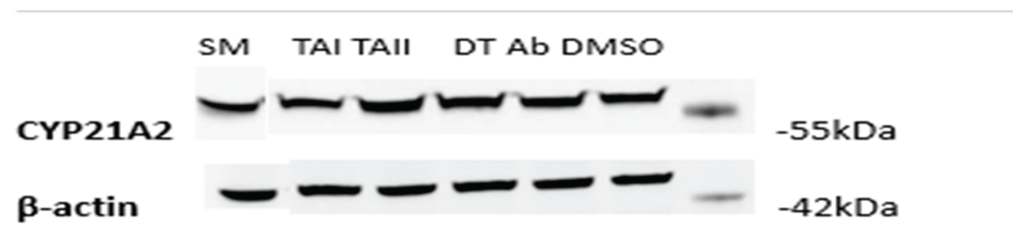 Preprints 187894 g011