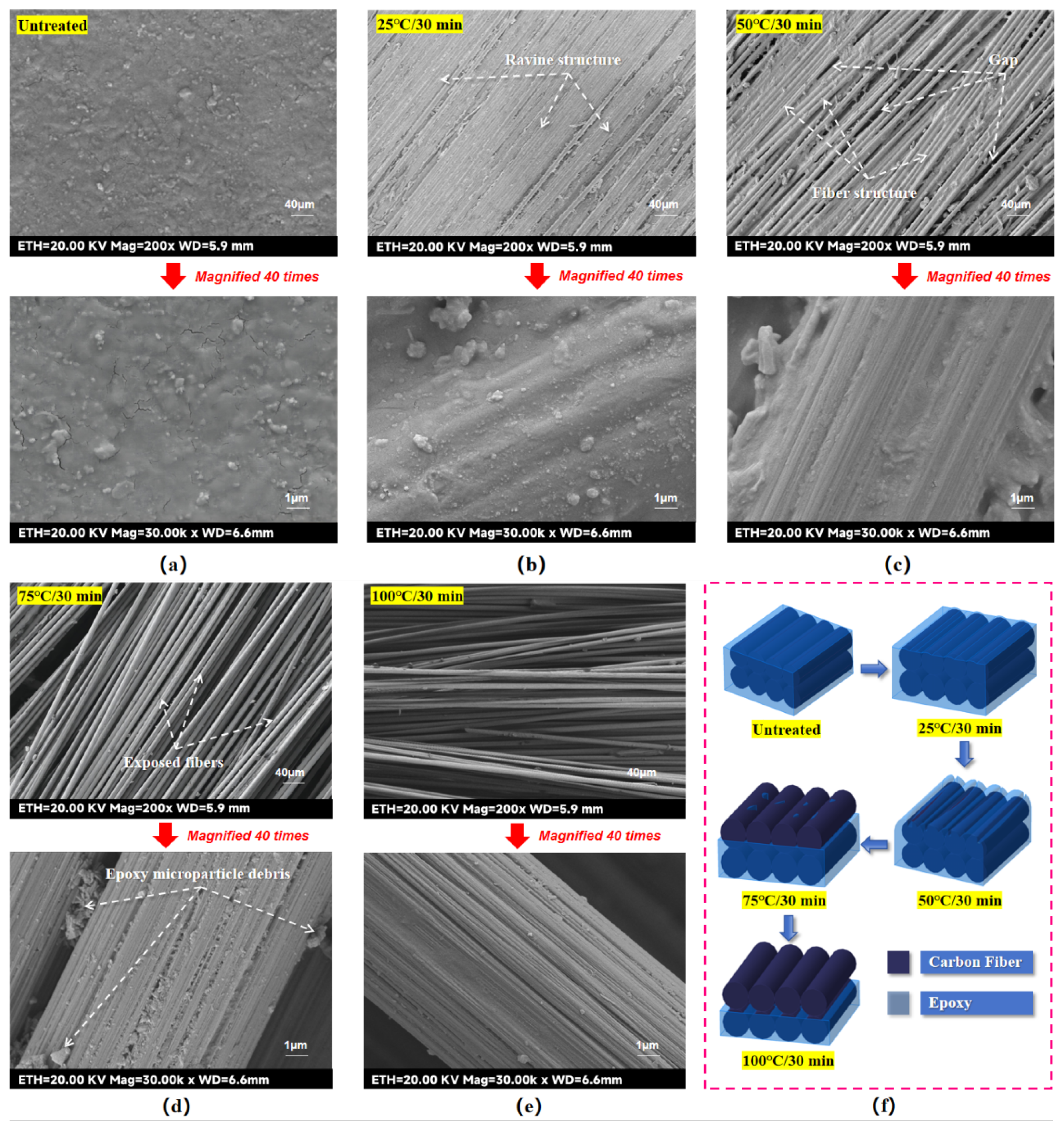 Preprints 156629 g005