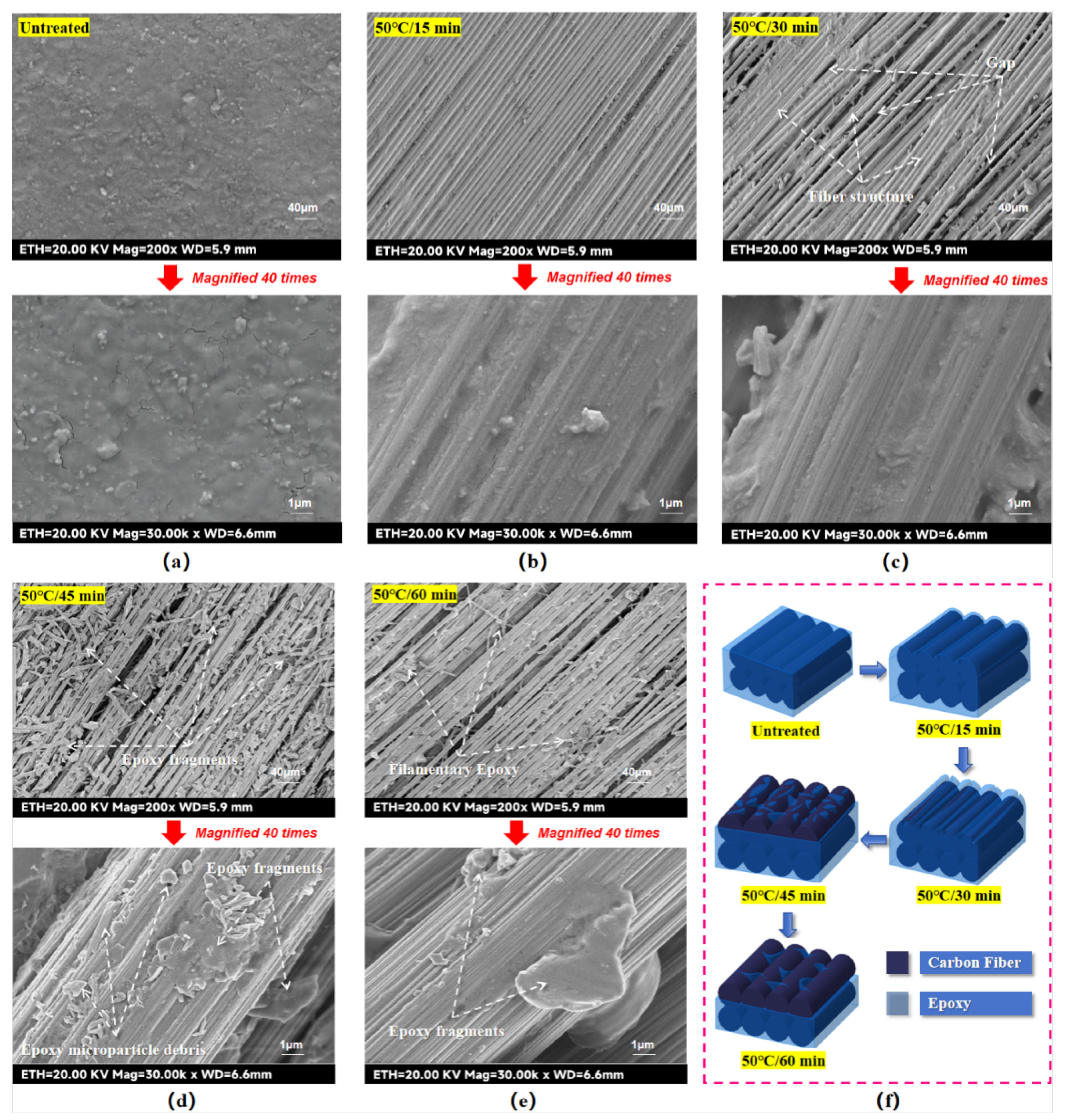 Preprints 156629 g006