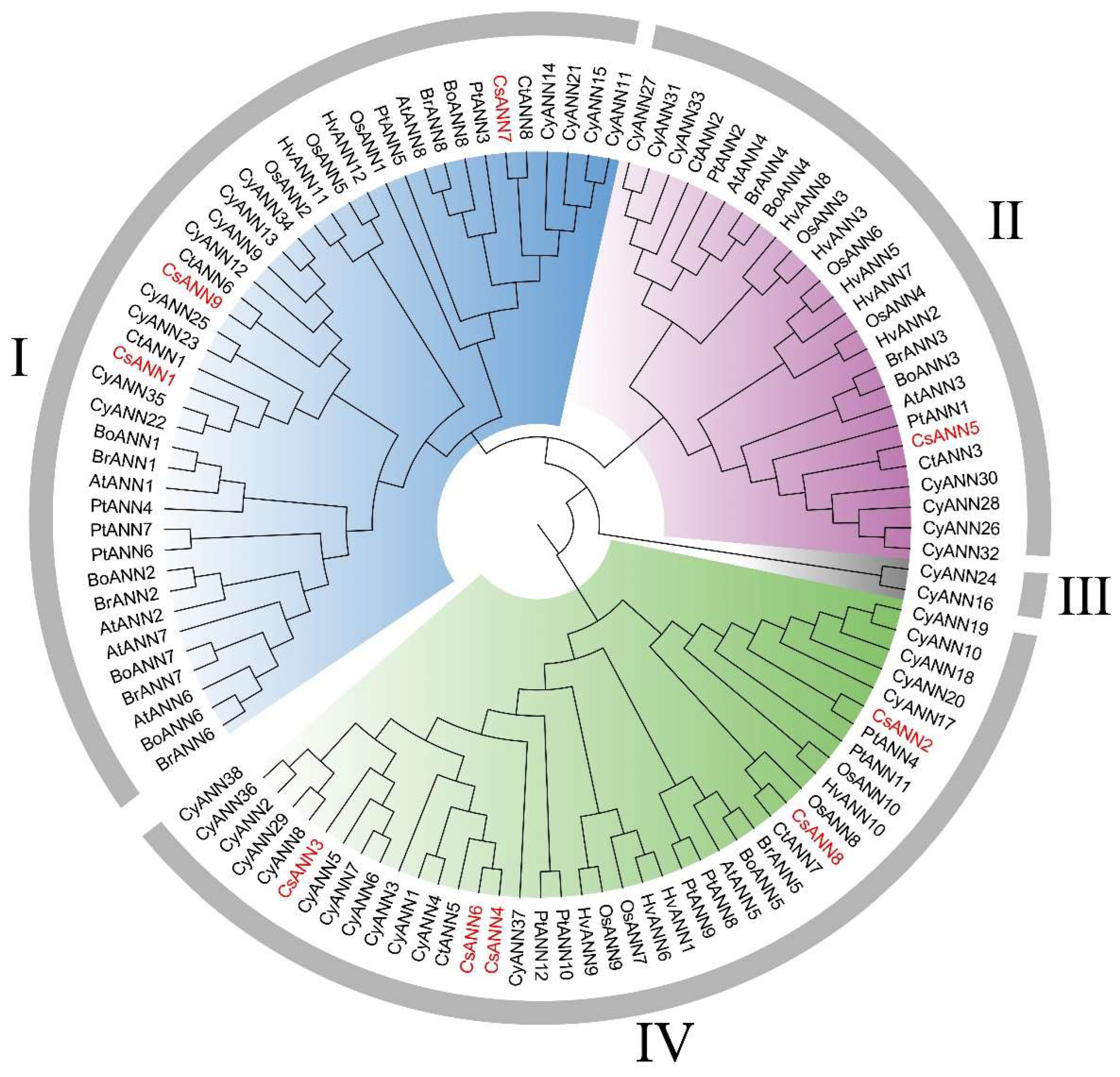 Preprints 160397 g002