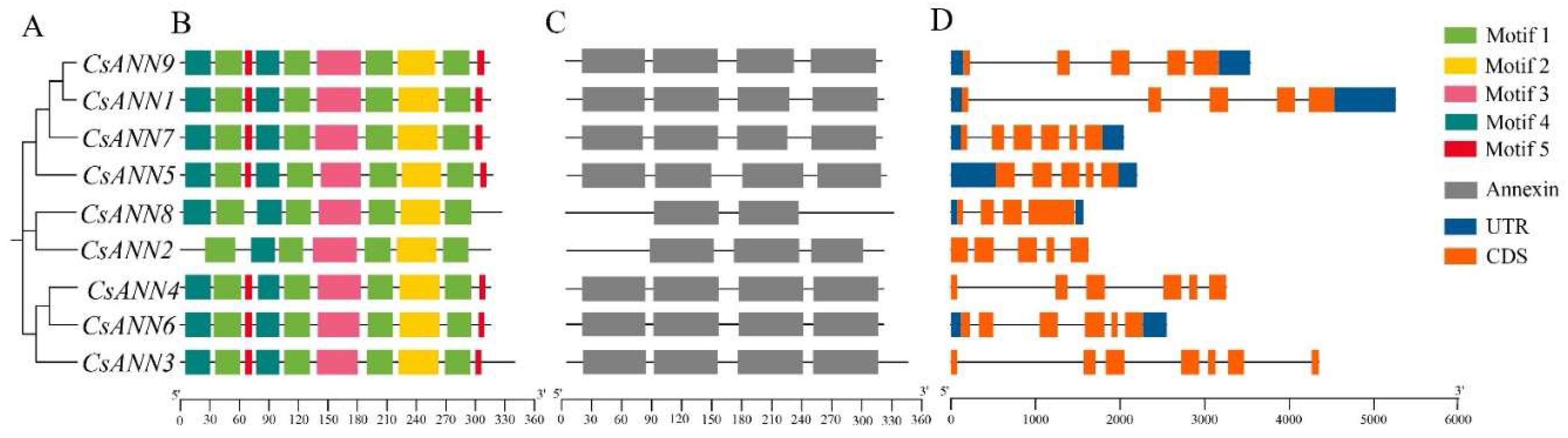 Preprints 160397 g003