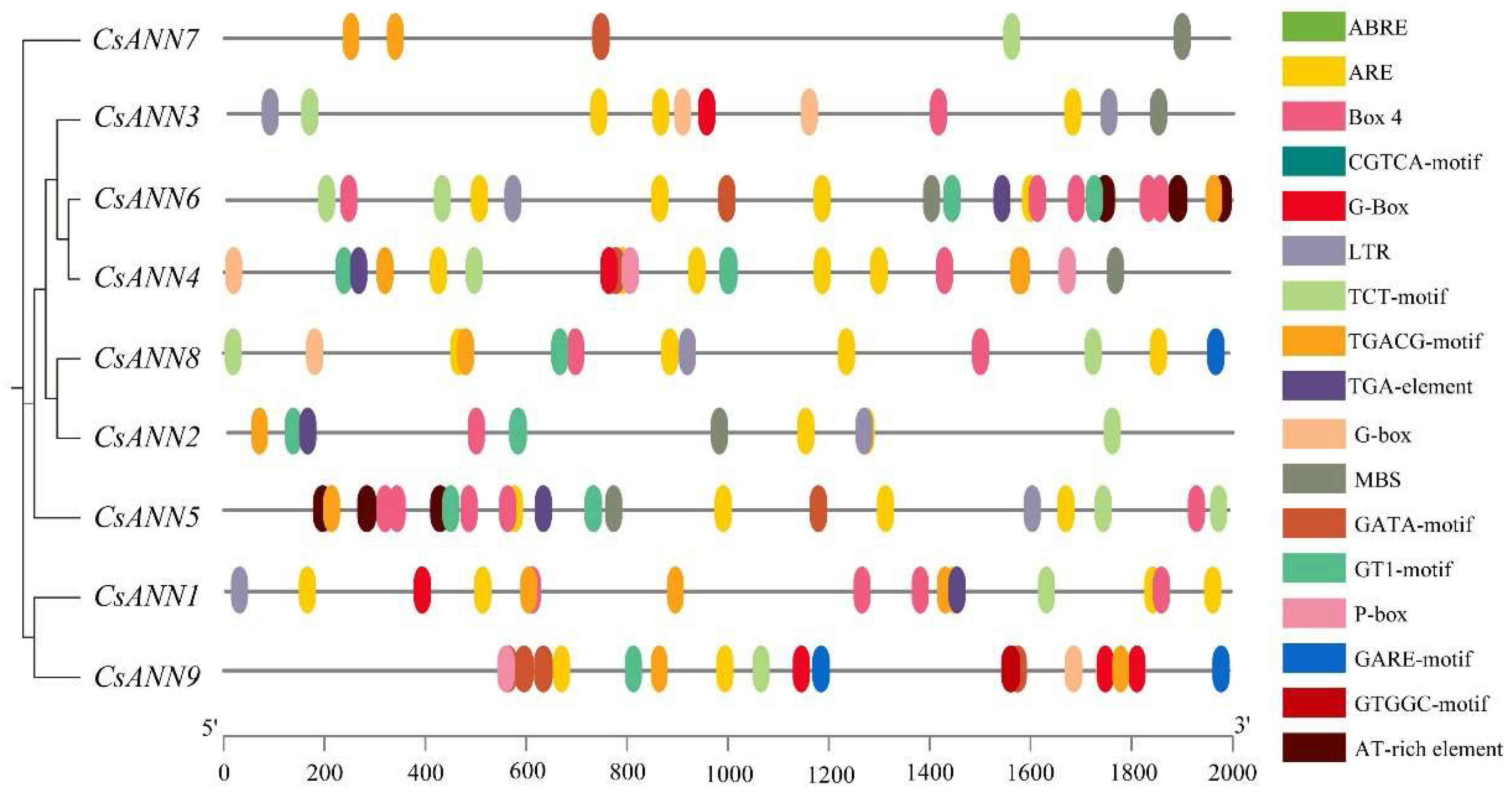 Preprints 160397 g006