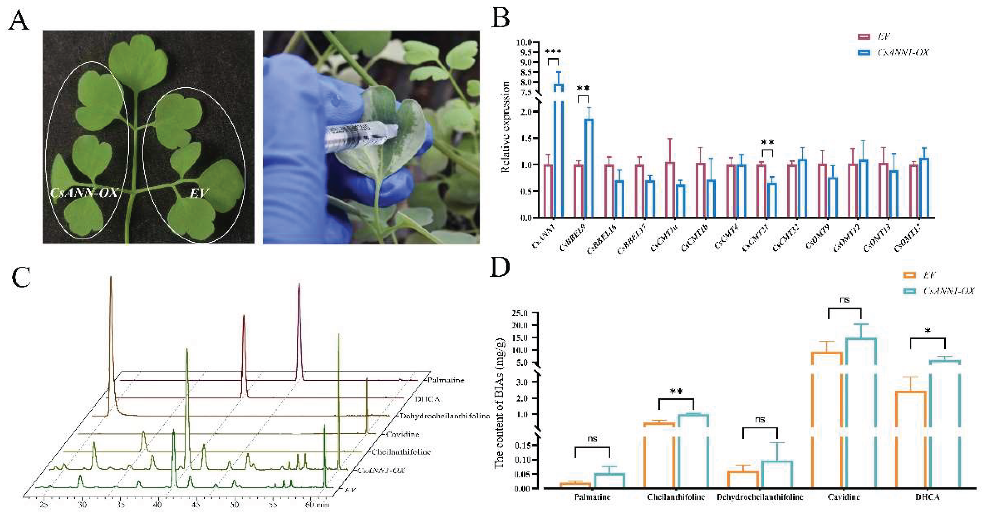 Preprints 160397 g009