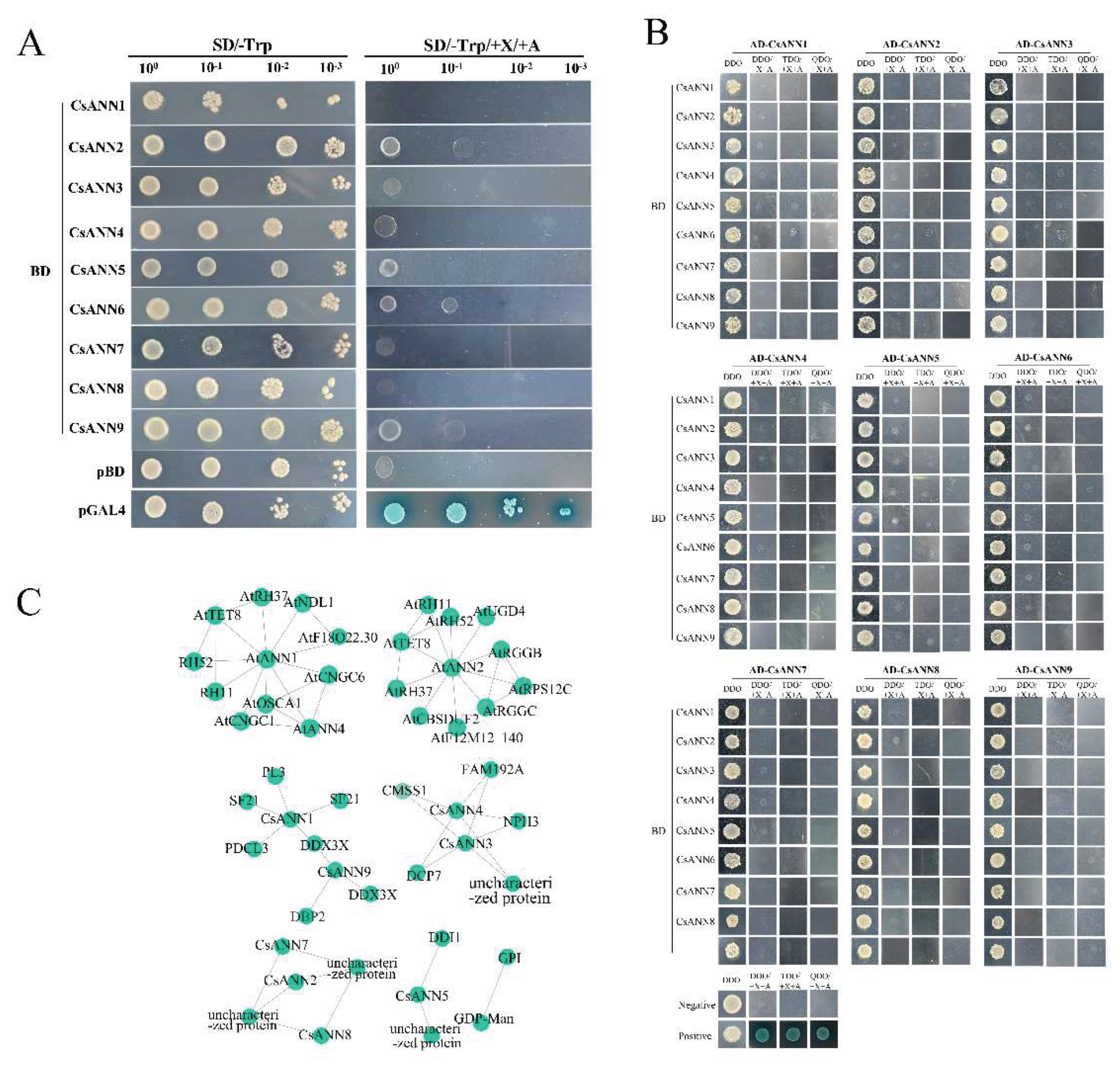Preprints 160397 g010
