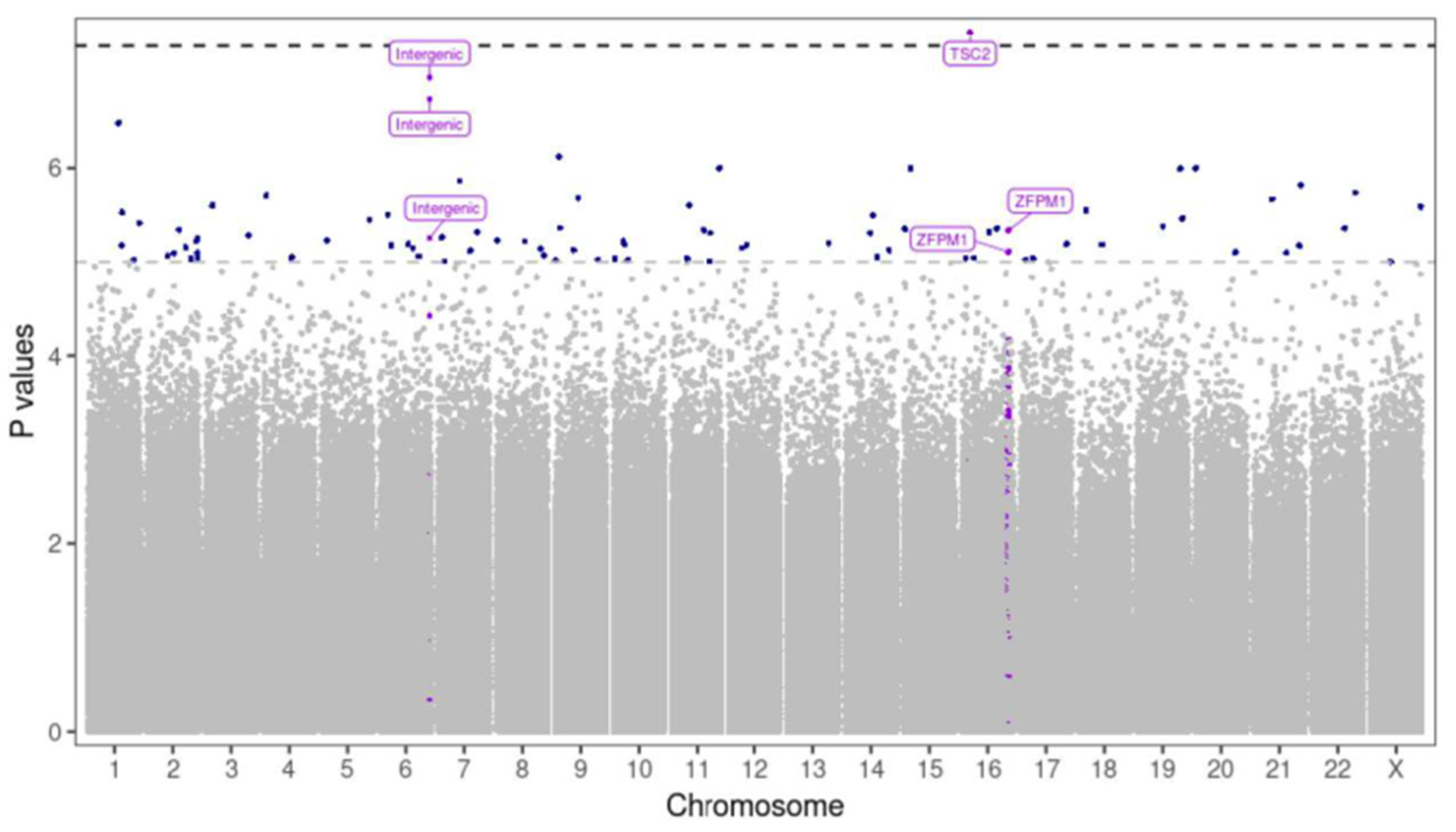 Preprints 176373 g006
