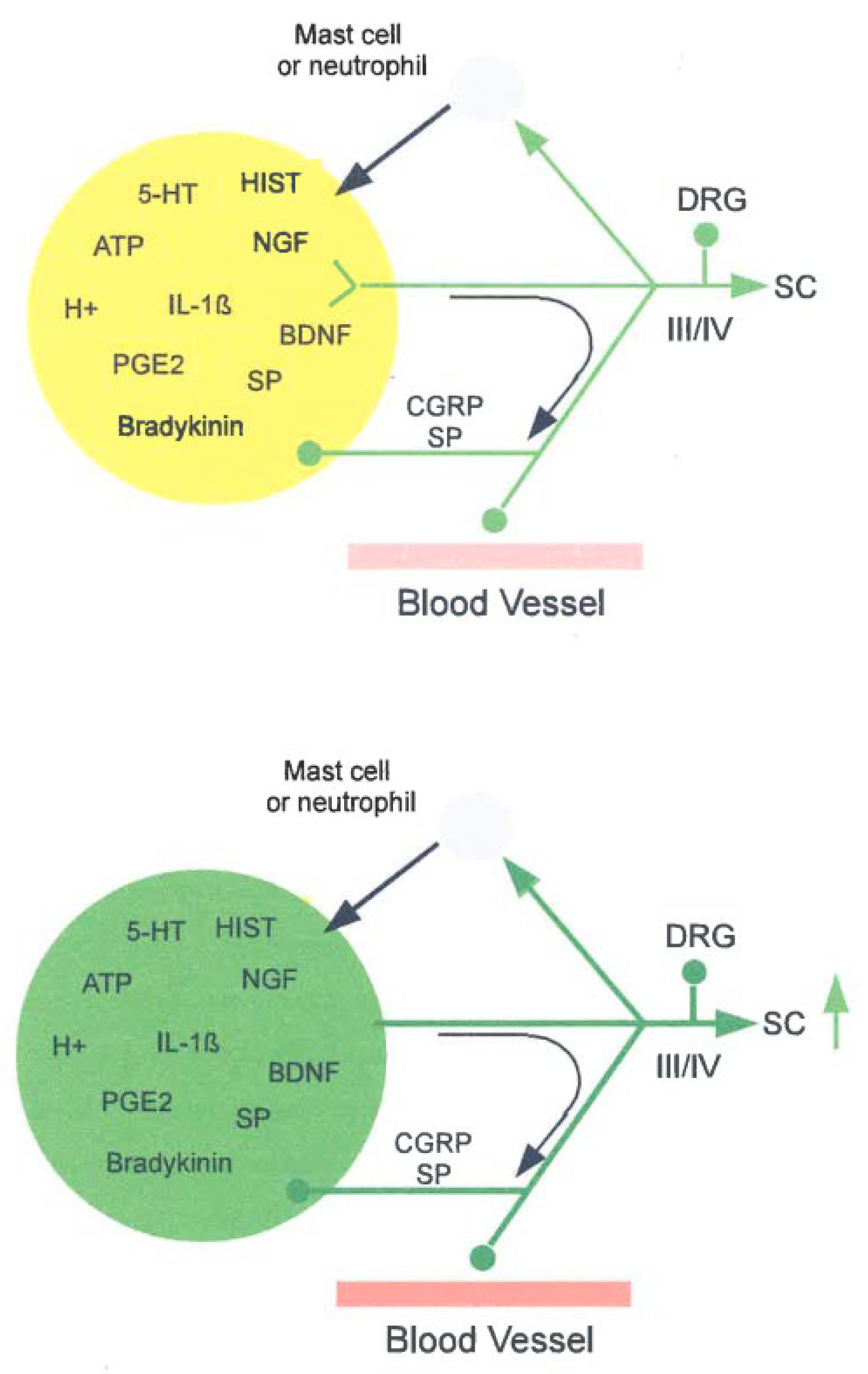 Preprints 196319 g001