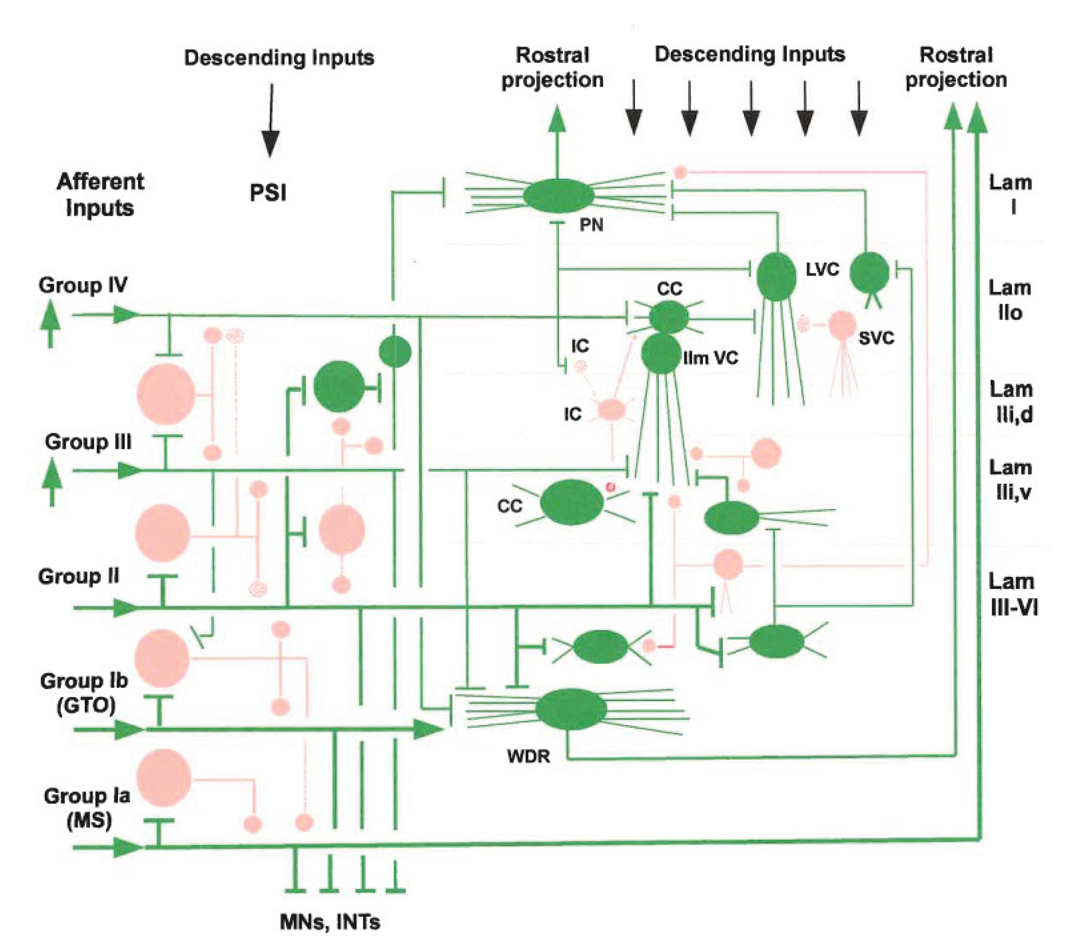 Preprints 196319 g002