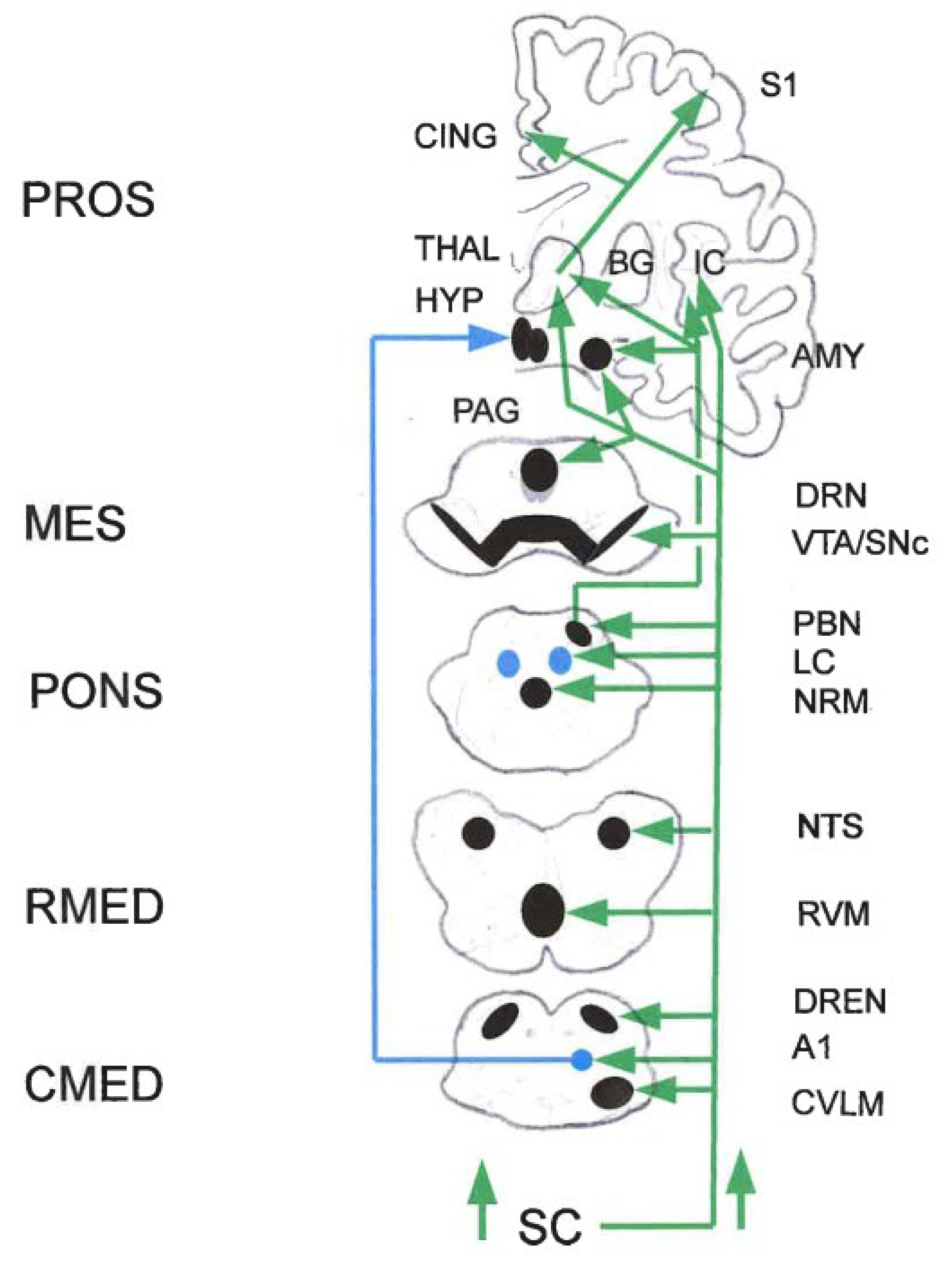 Preprints 196319 g003