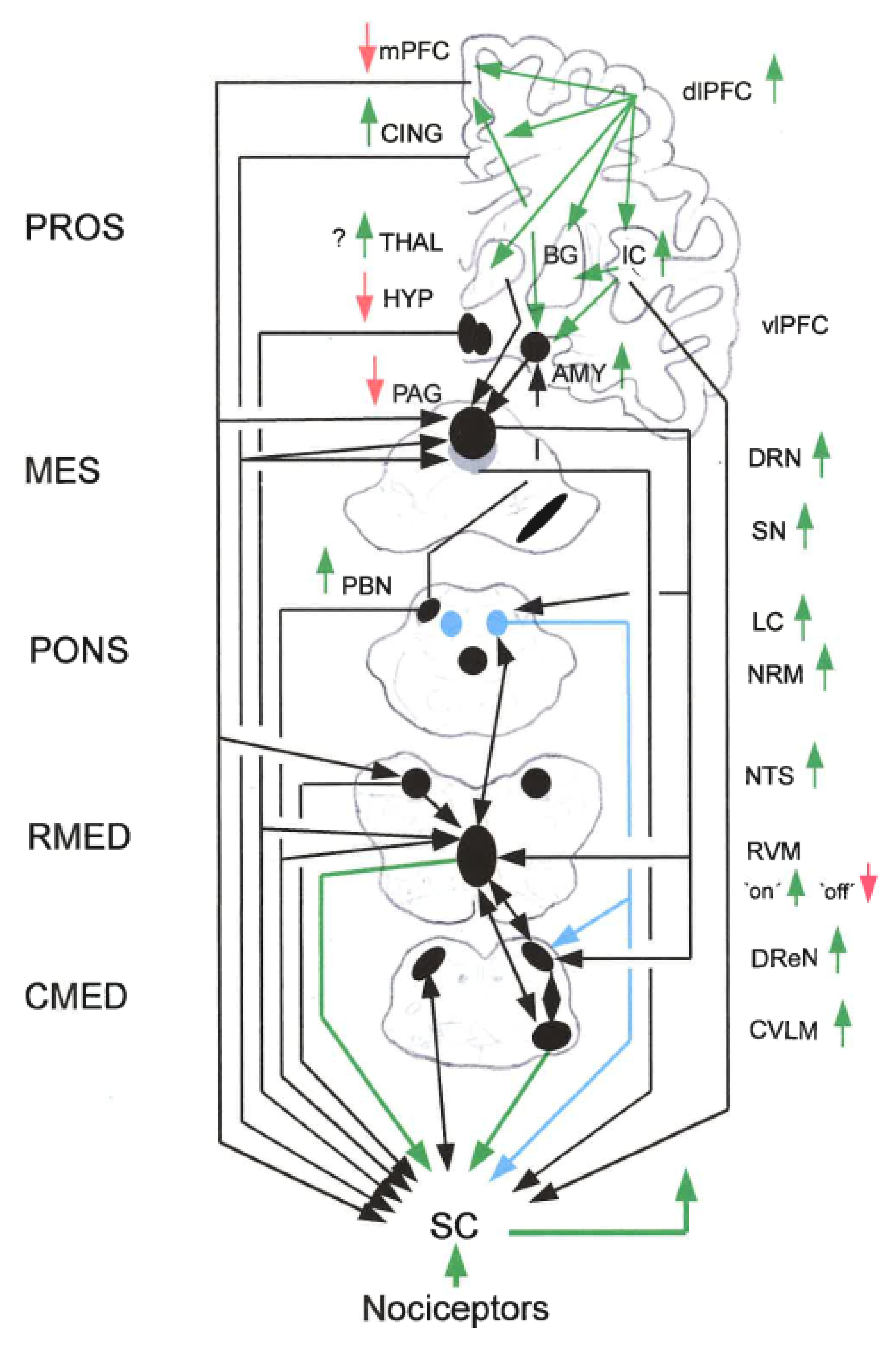 Preprints 196319 g004