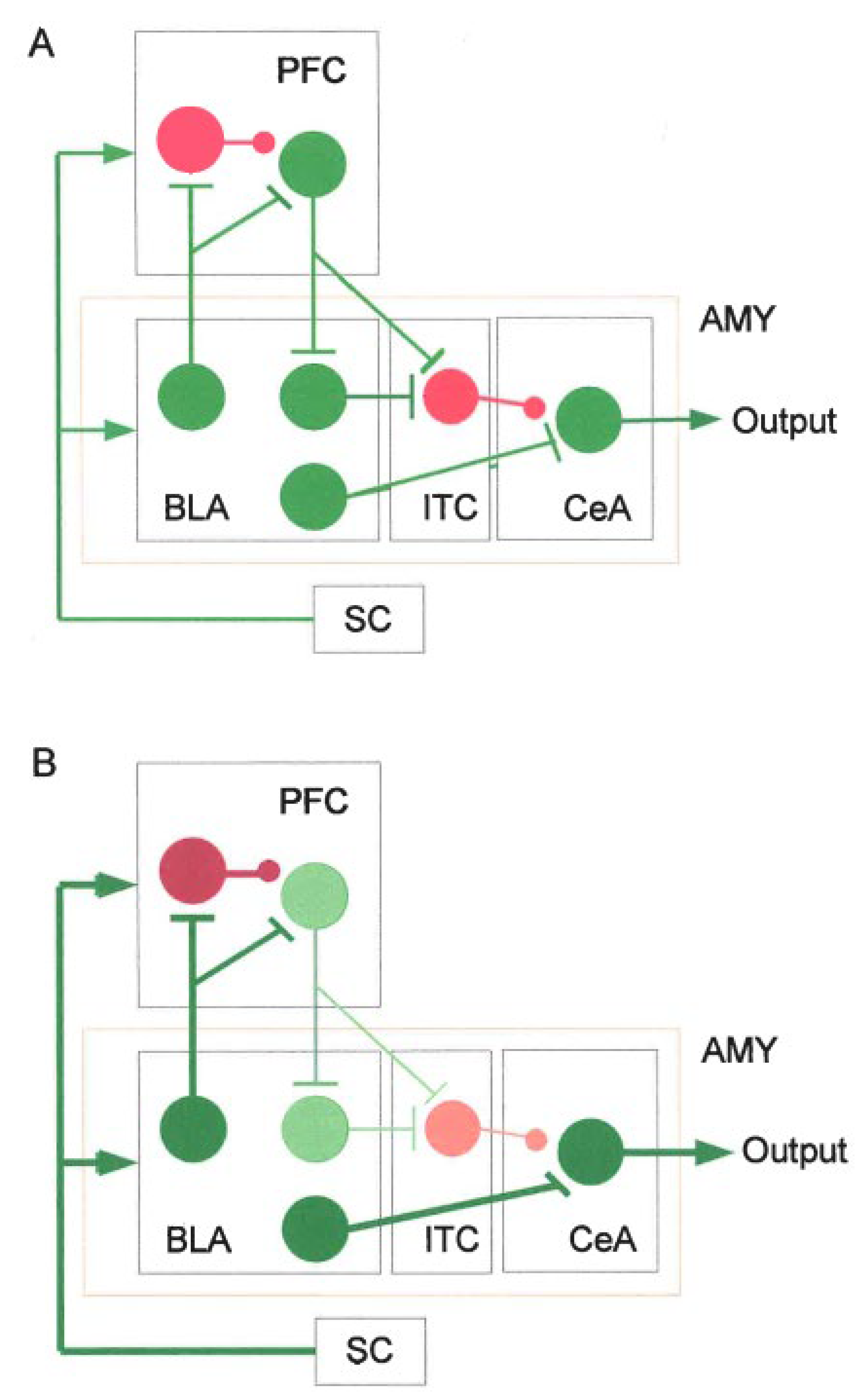 Preprints 196319 g005