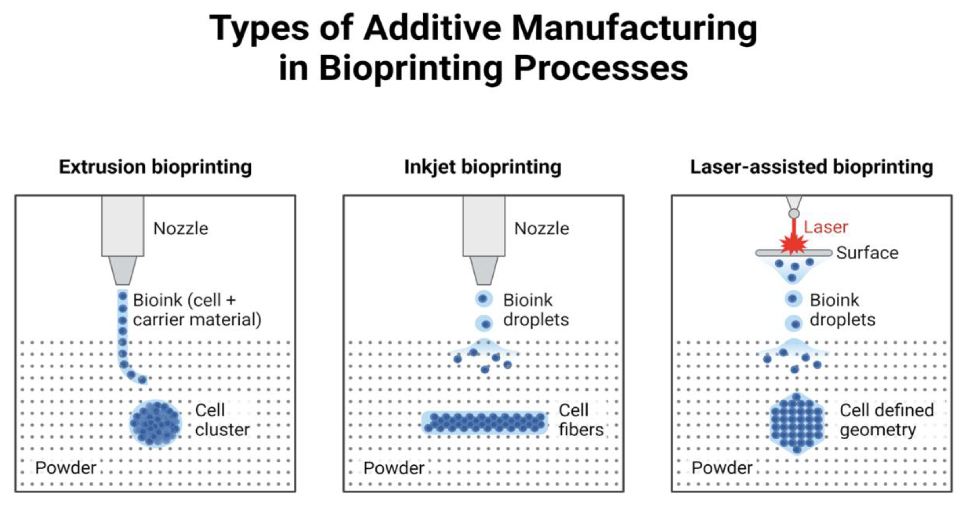 Preprints 147578 g001
