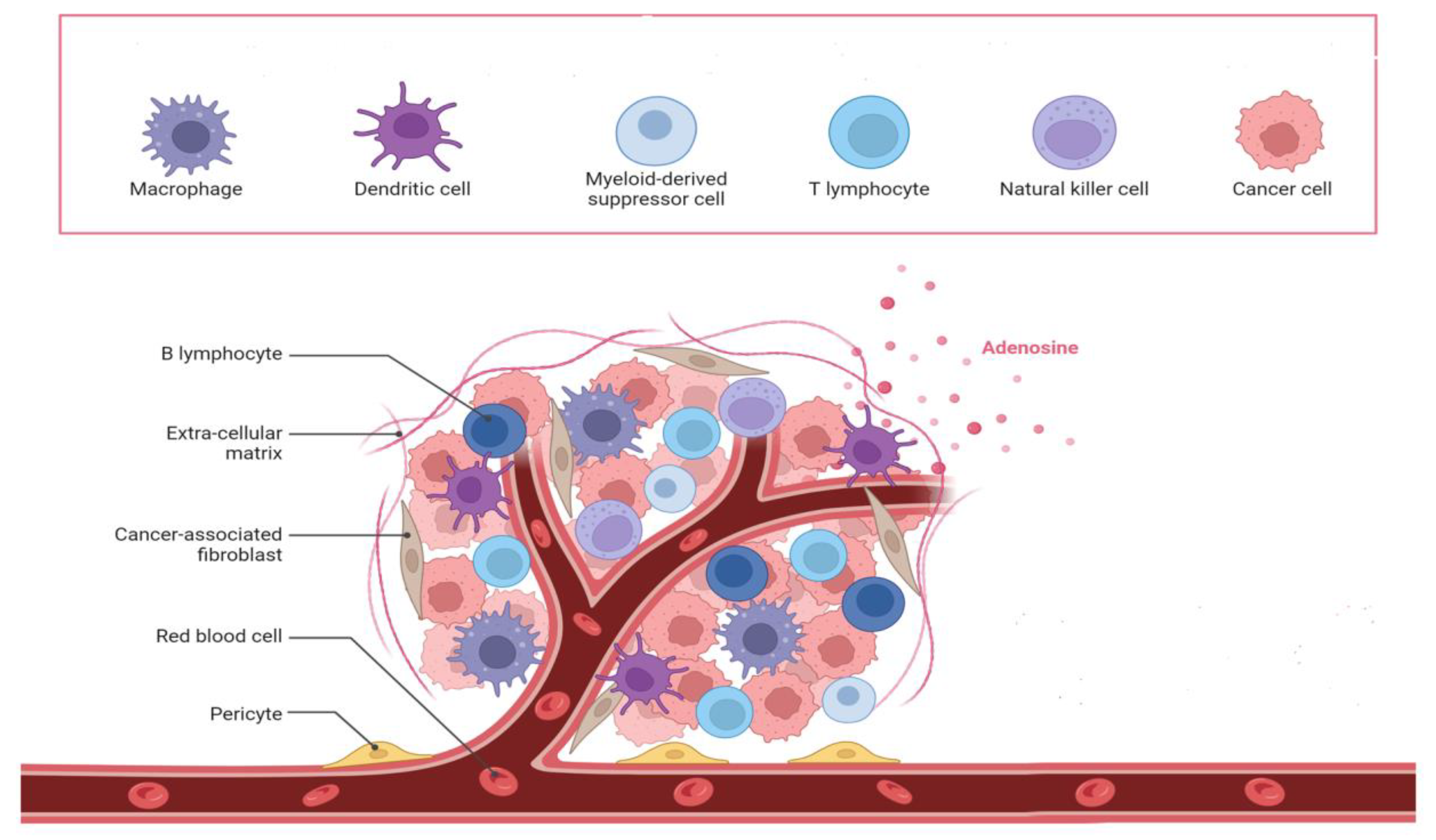 Preprints 147578 g002