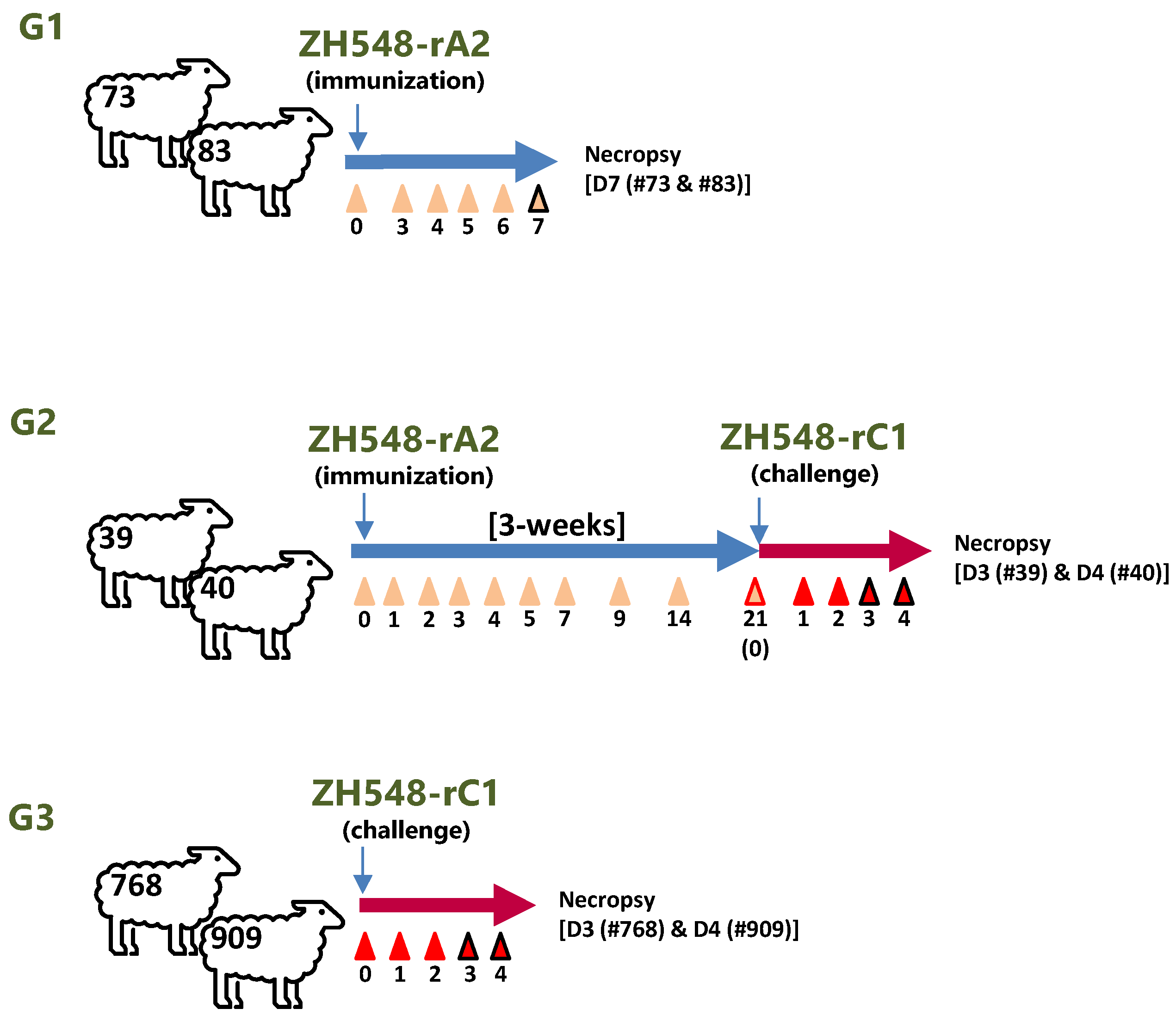 Preprints 93970 g001