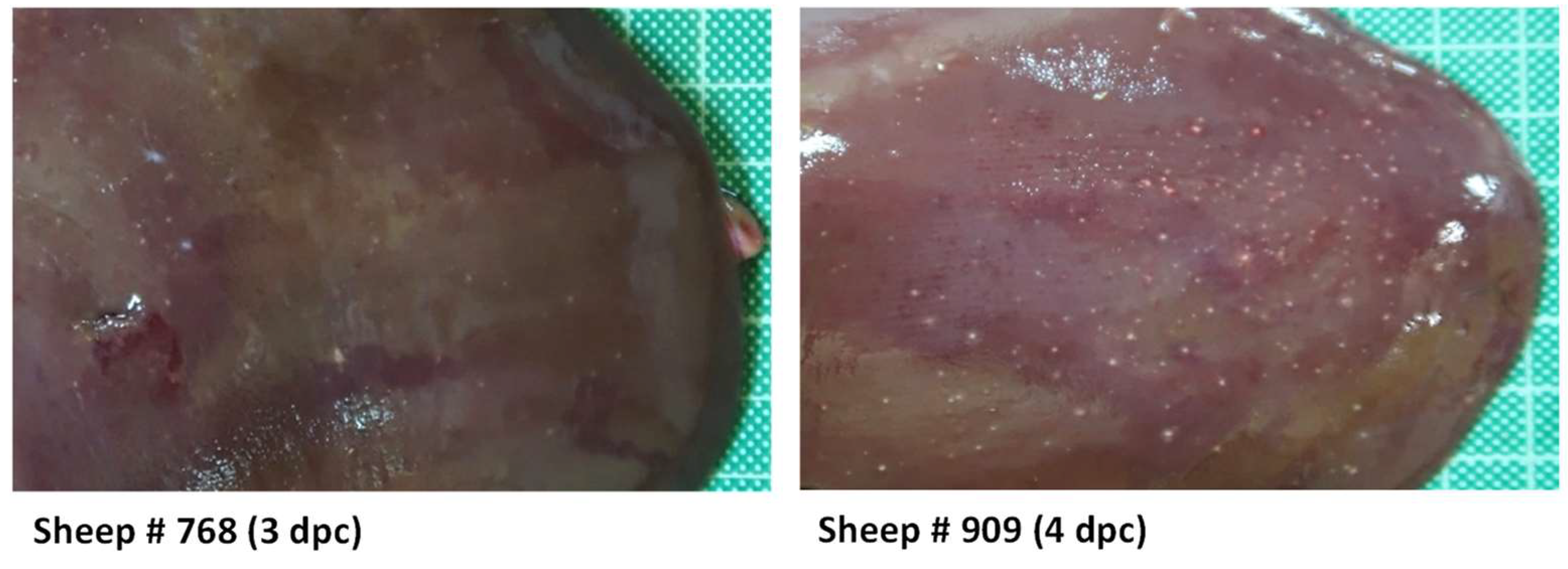 Preprints 93970 g004