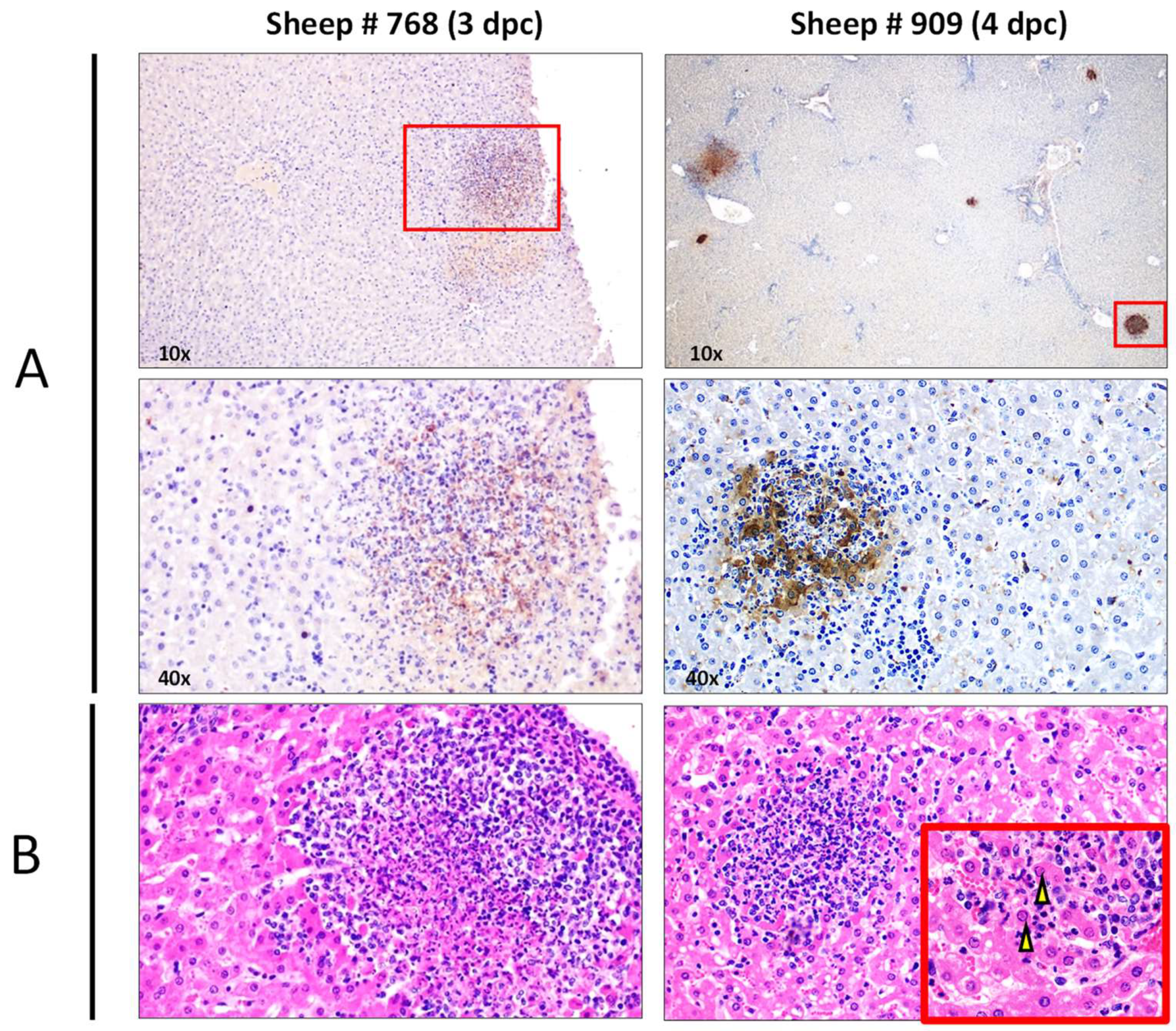 Preprints 93970 g005