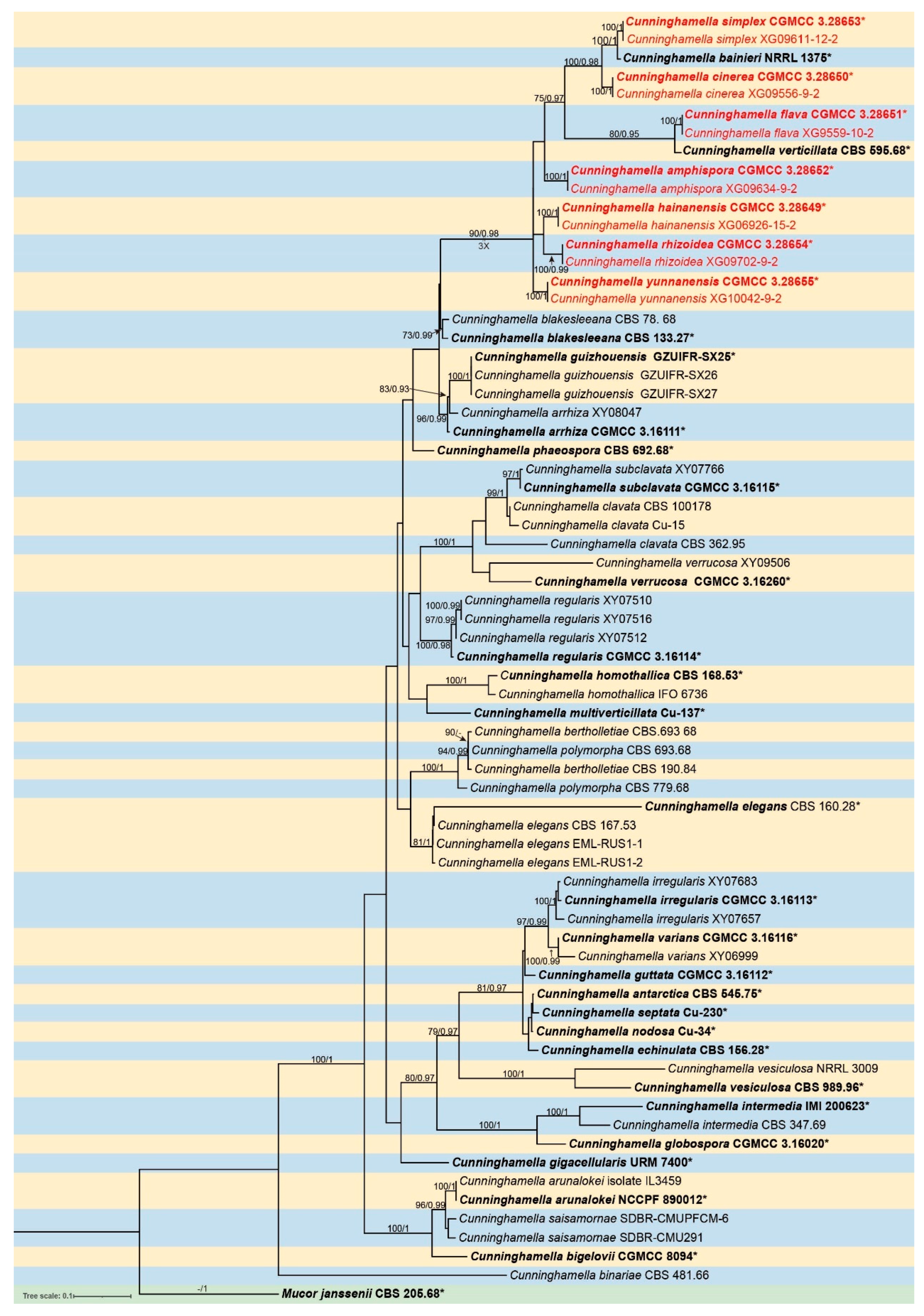Preprints 155861 g001