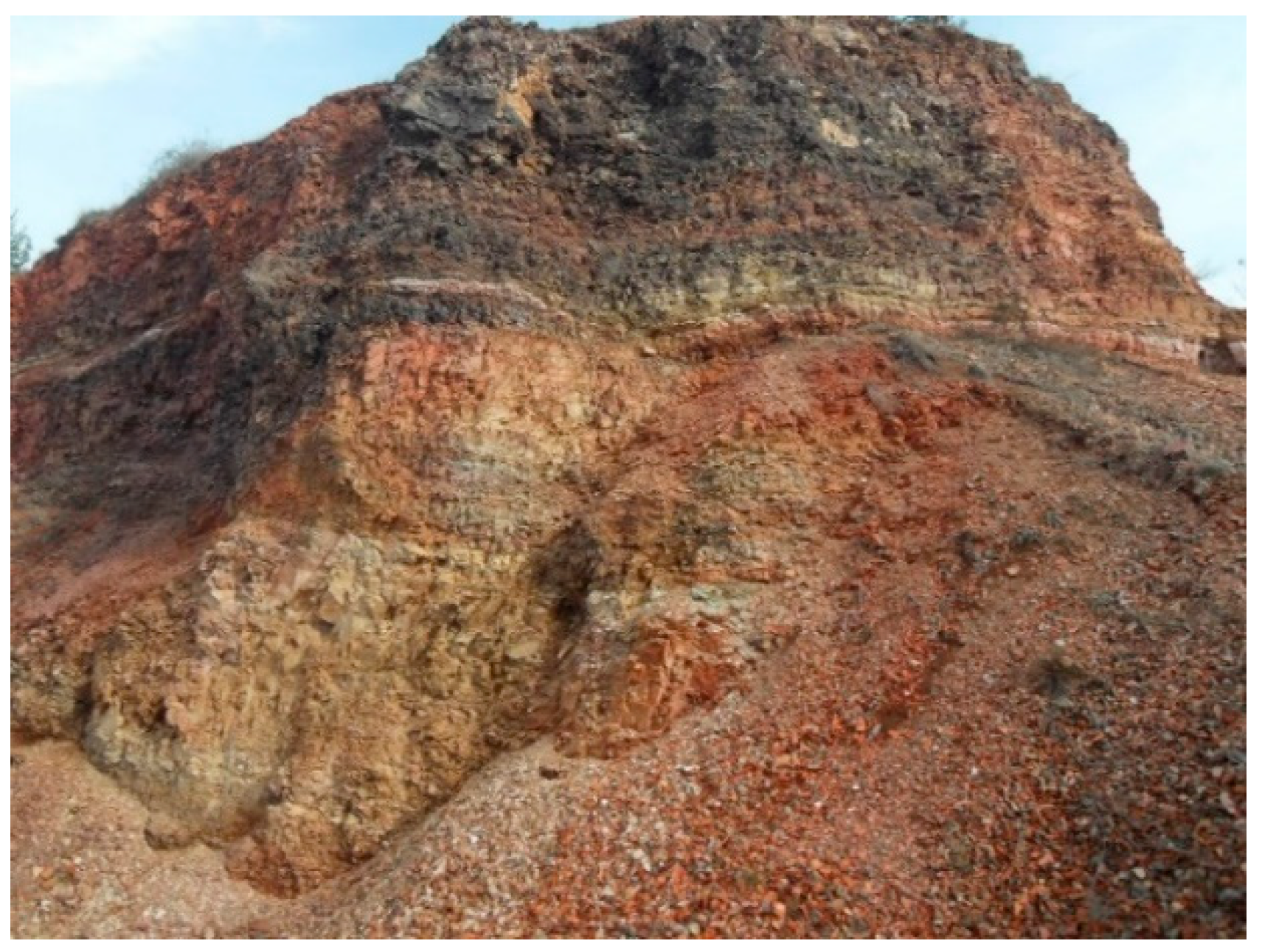 Preprints 163965 g001