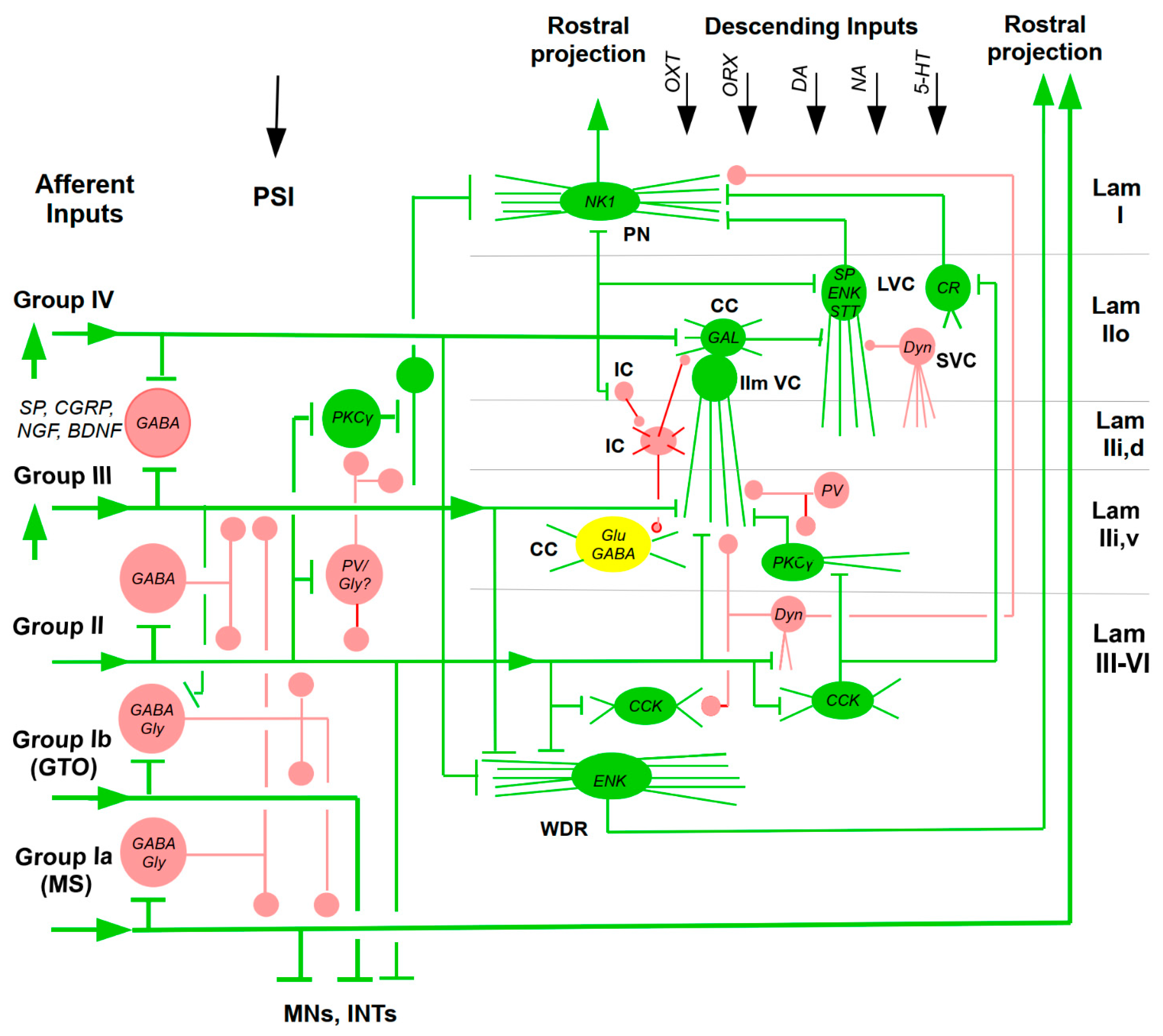 Preprints 222128 g001