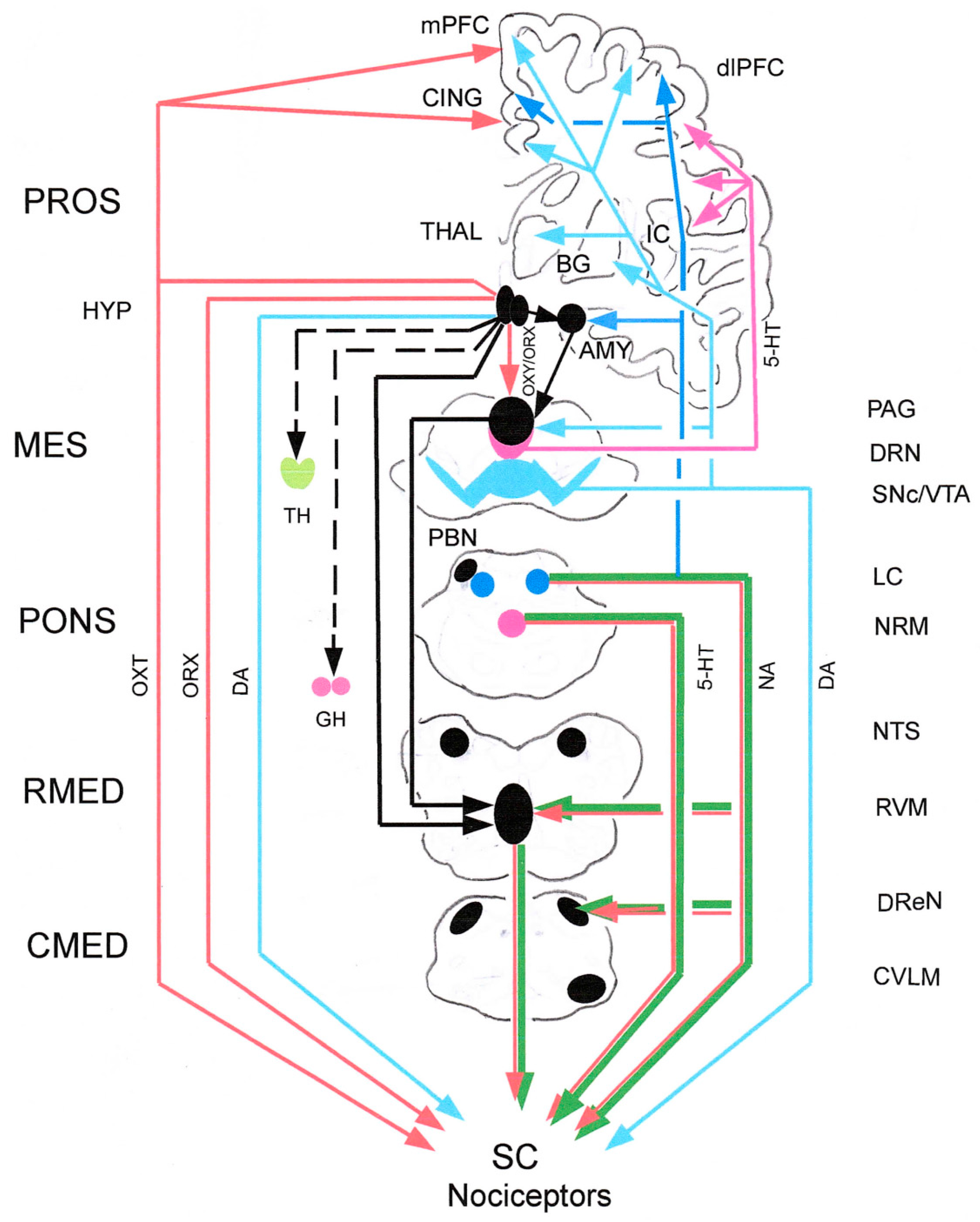 Preprints 222128 g002