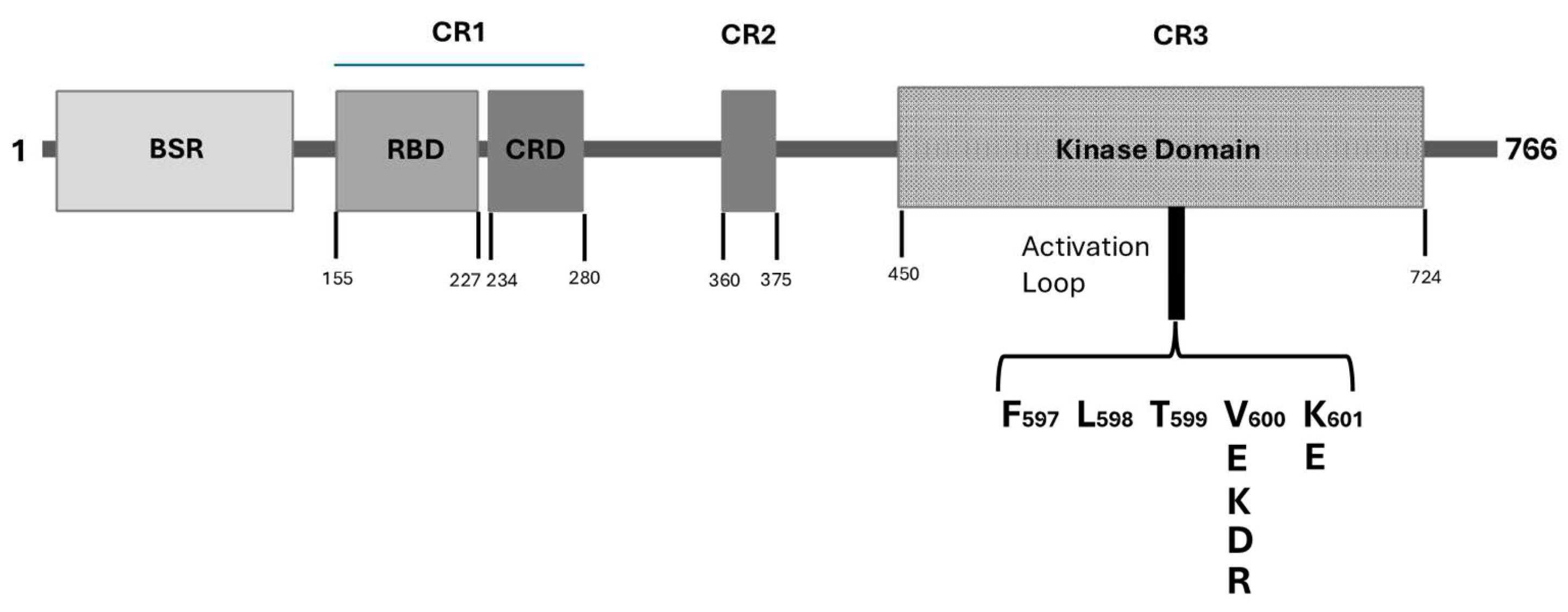 Preprints 137964 g001