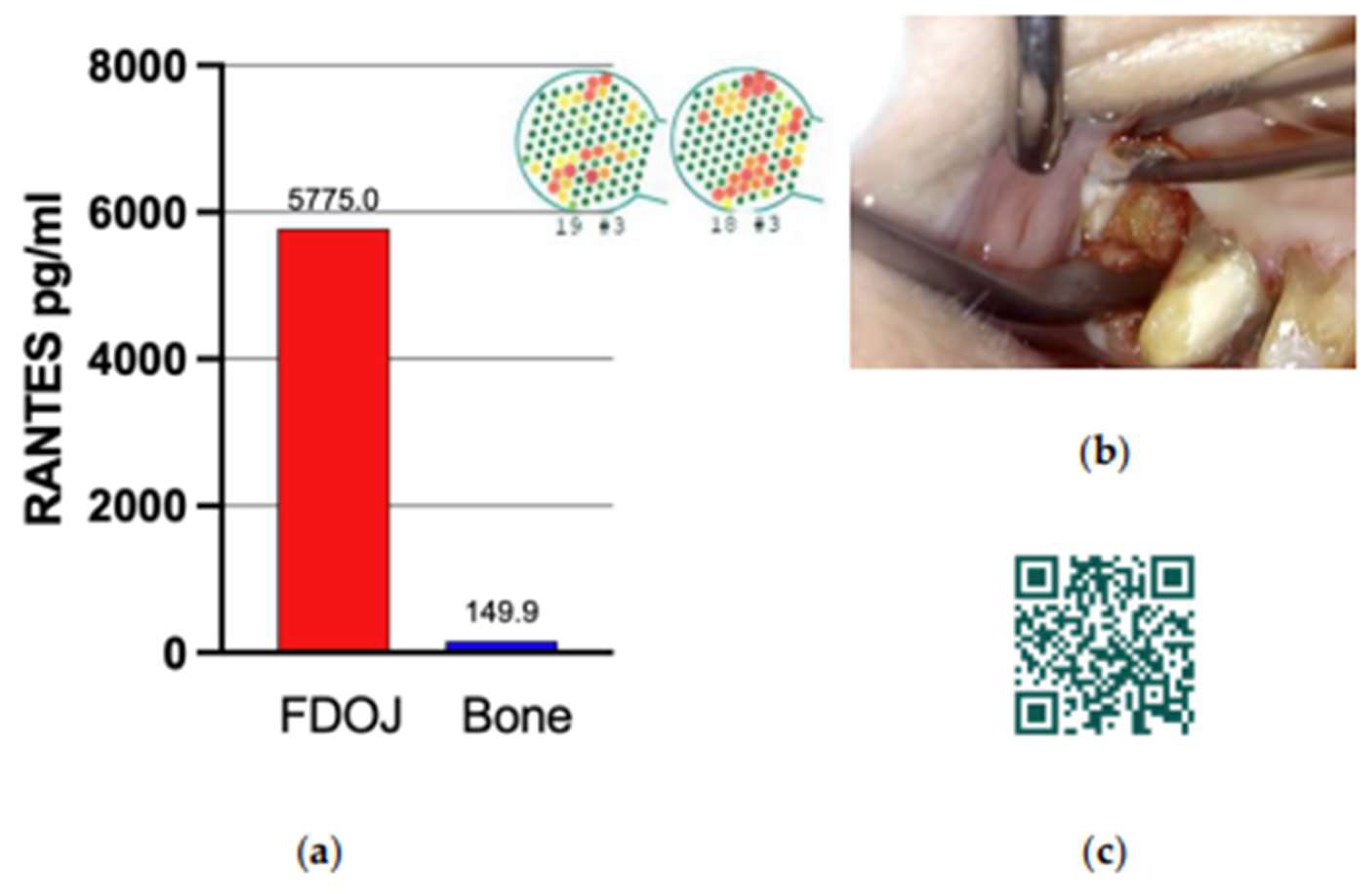 Preprints 142582 g003