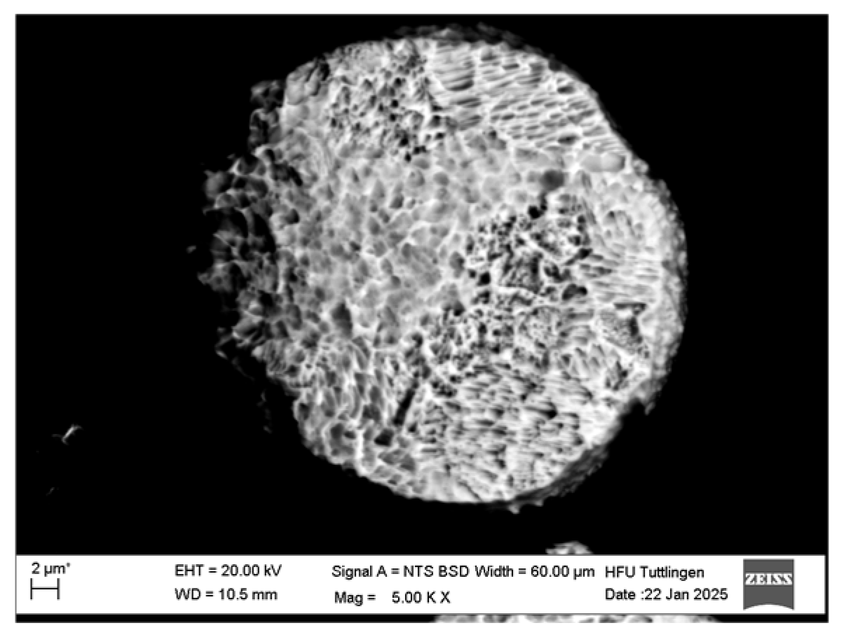 Preprints 164516 g002