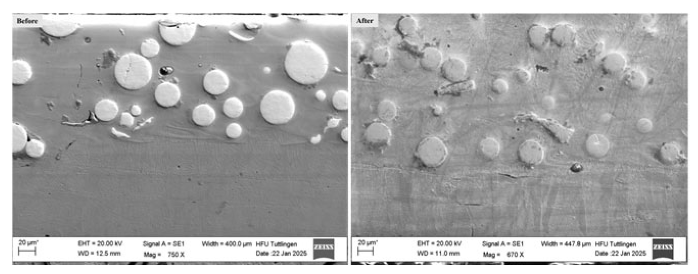 Preprints 164516 g003