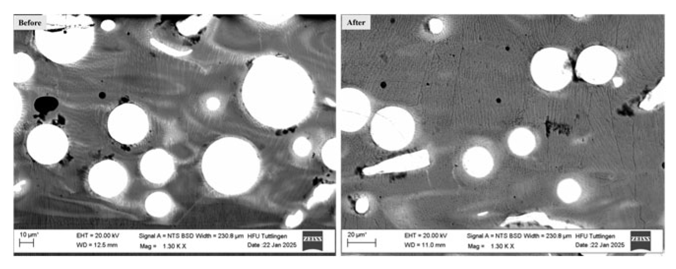 Preprints 164516 g004