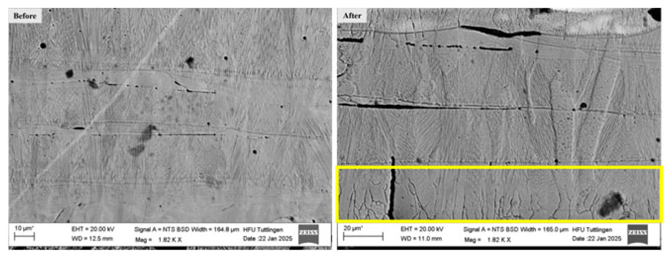 Preprints 164516 g005