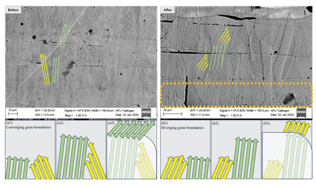 Preprints 164516 g010