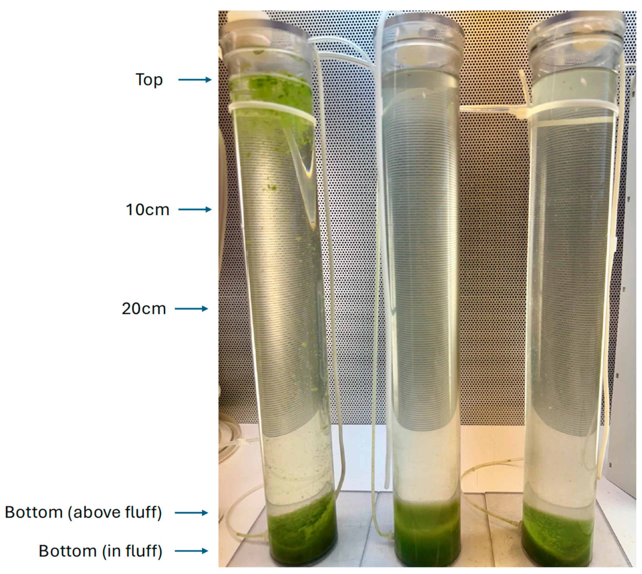 Preprints 154899 g005