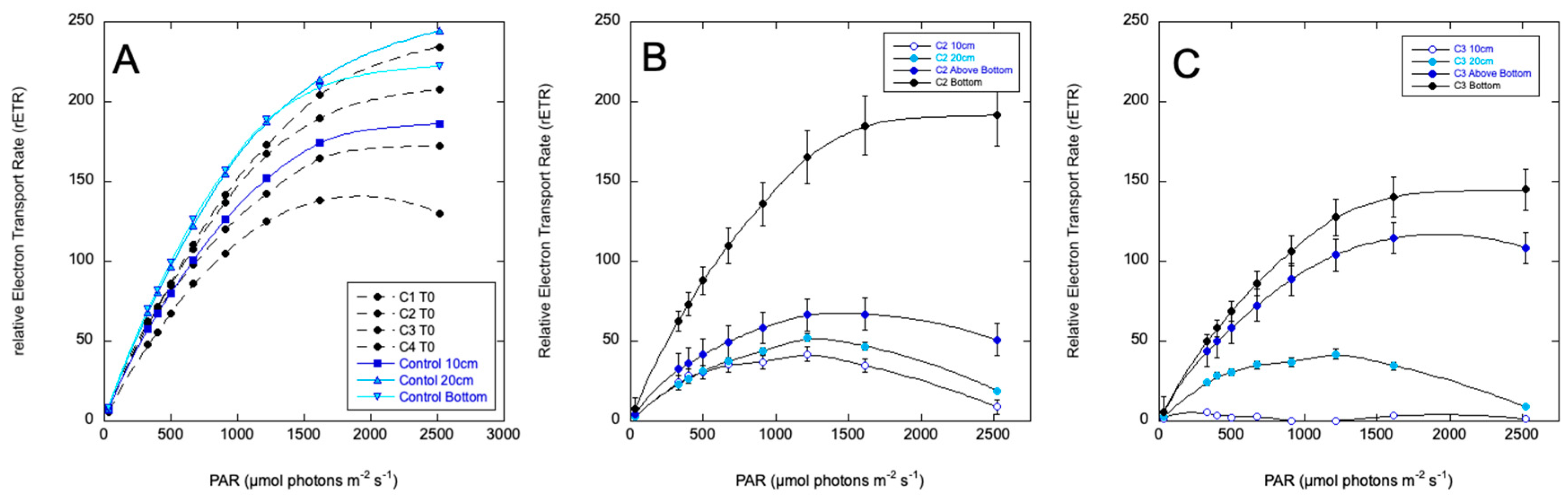 Preprints 154899 g006