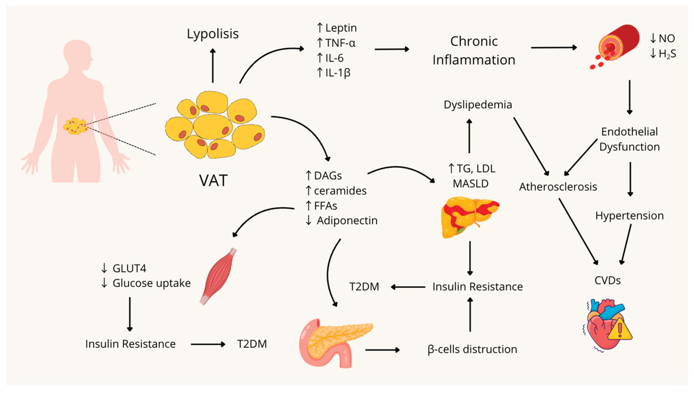 Preprints 178905 g001