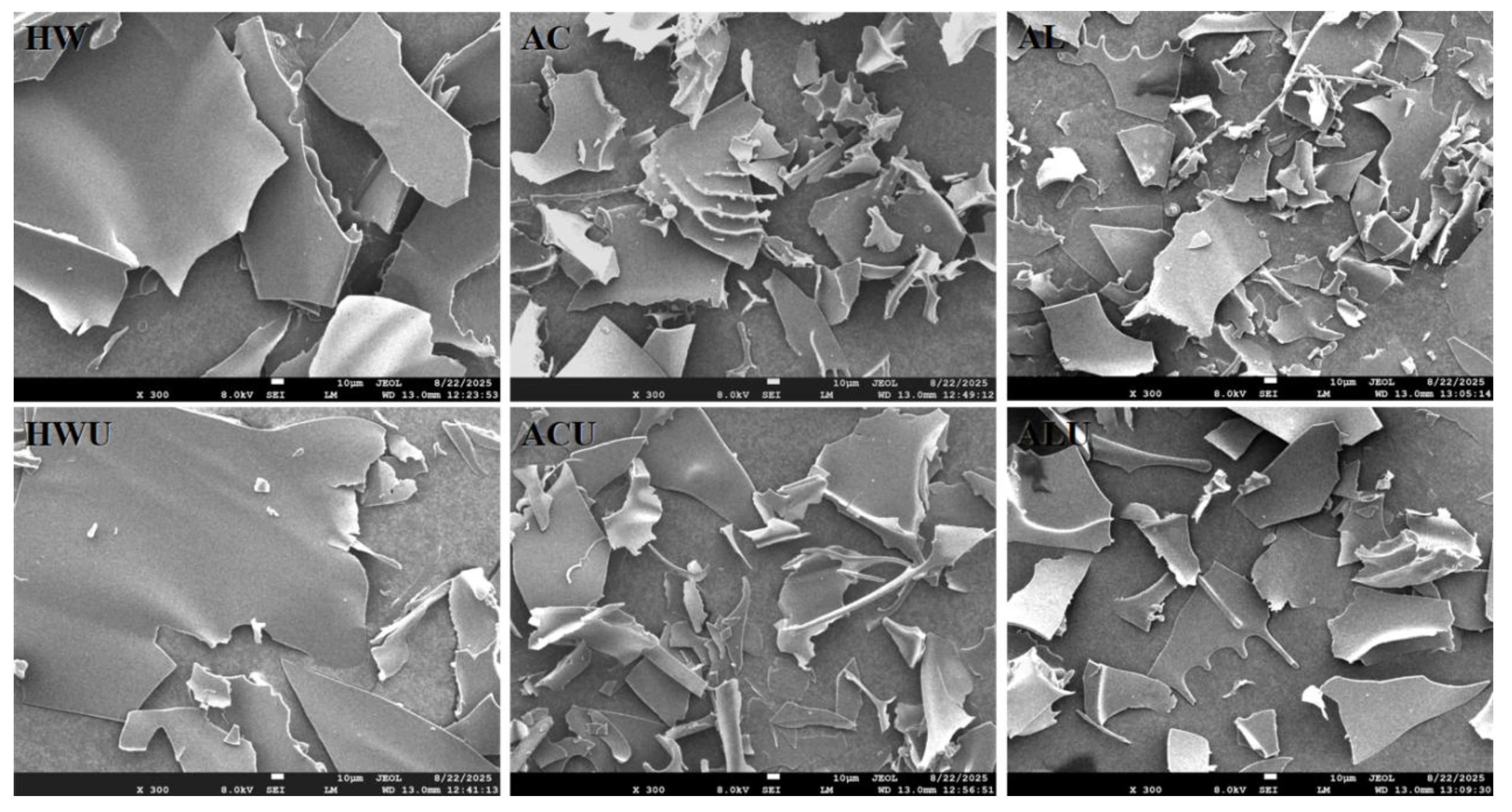 Preprints 188336 g006