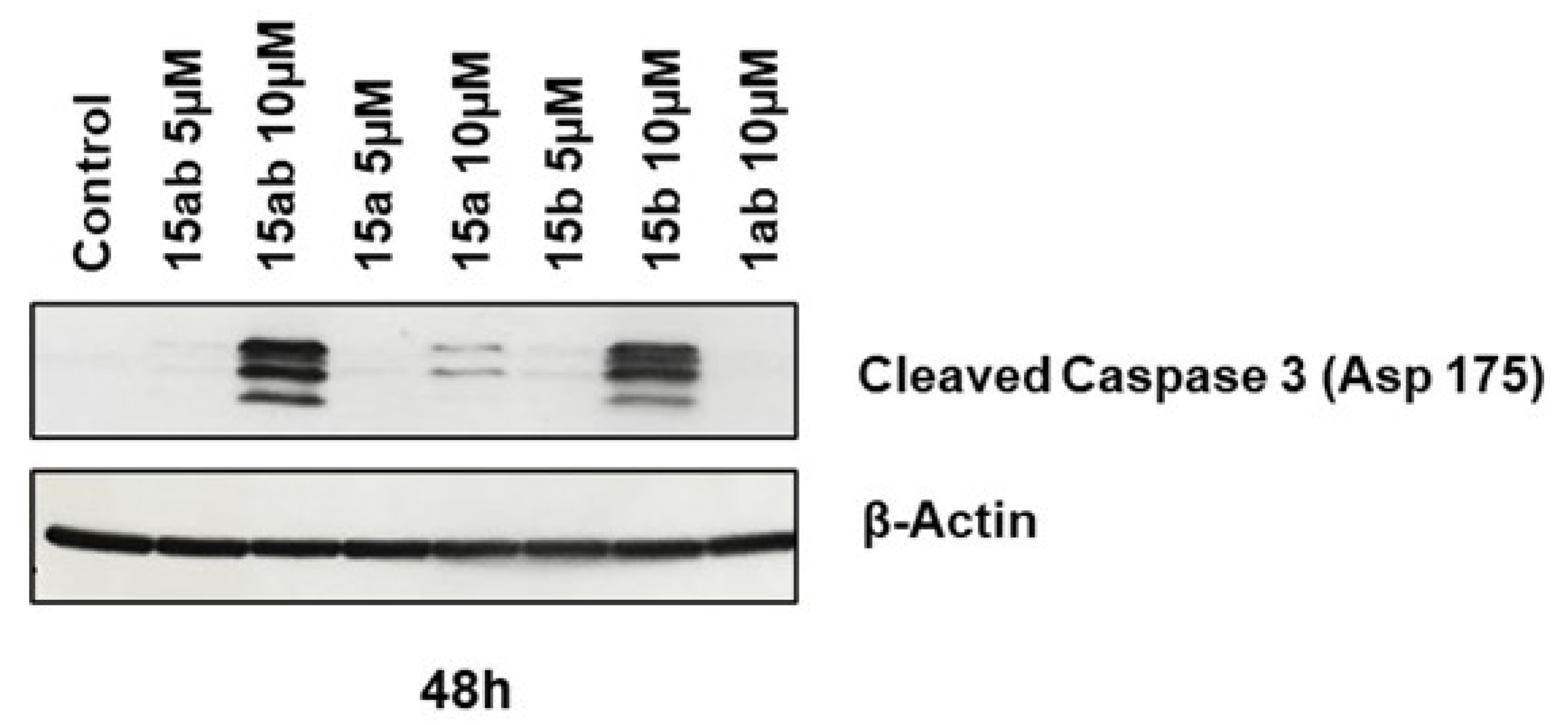 Preprints 100107 g006