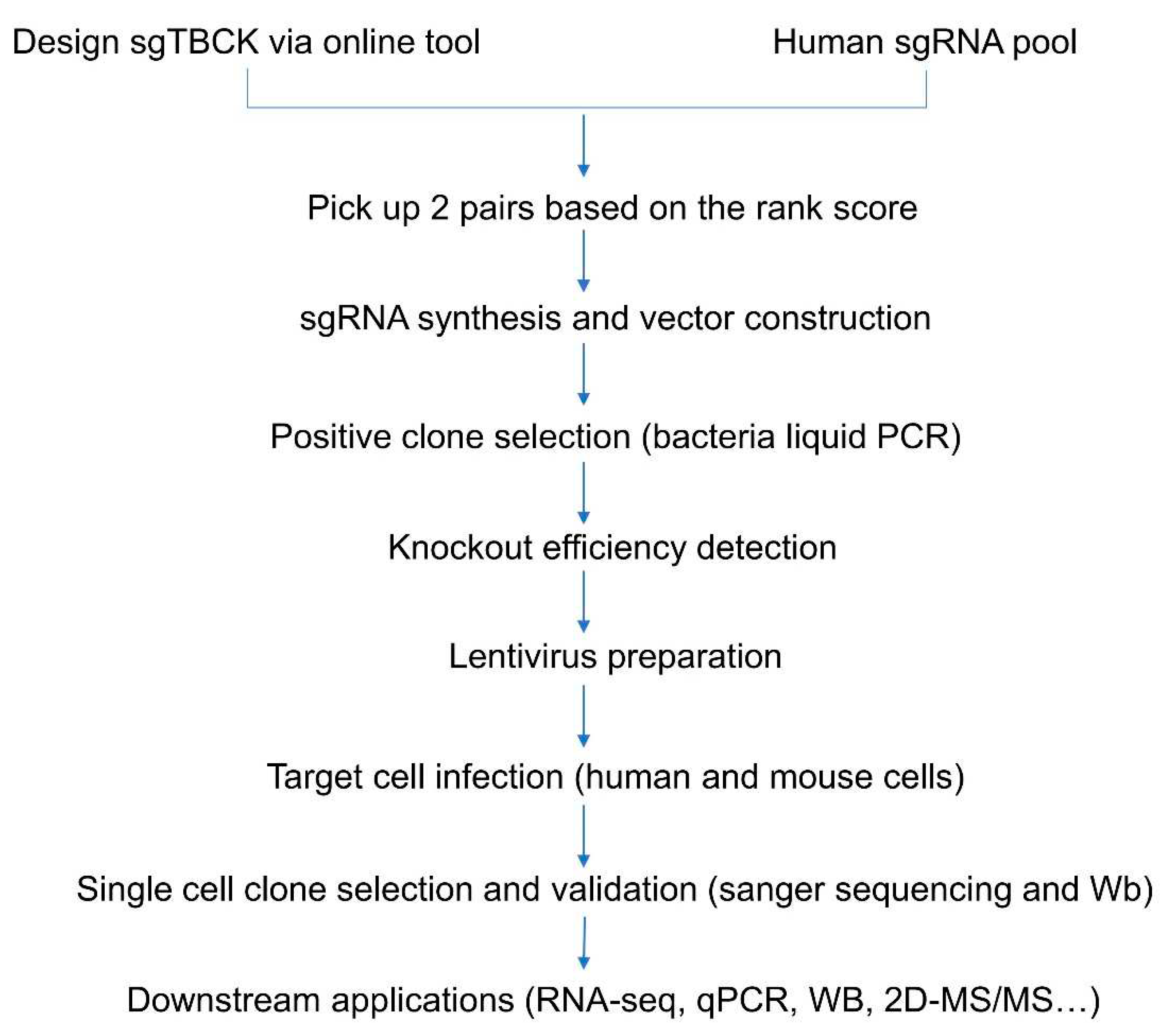 Preprints 82141 g001
