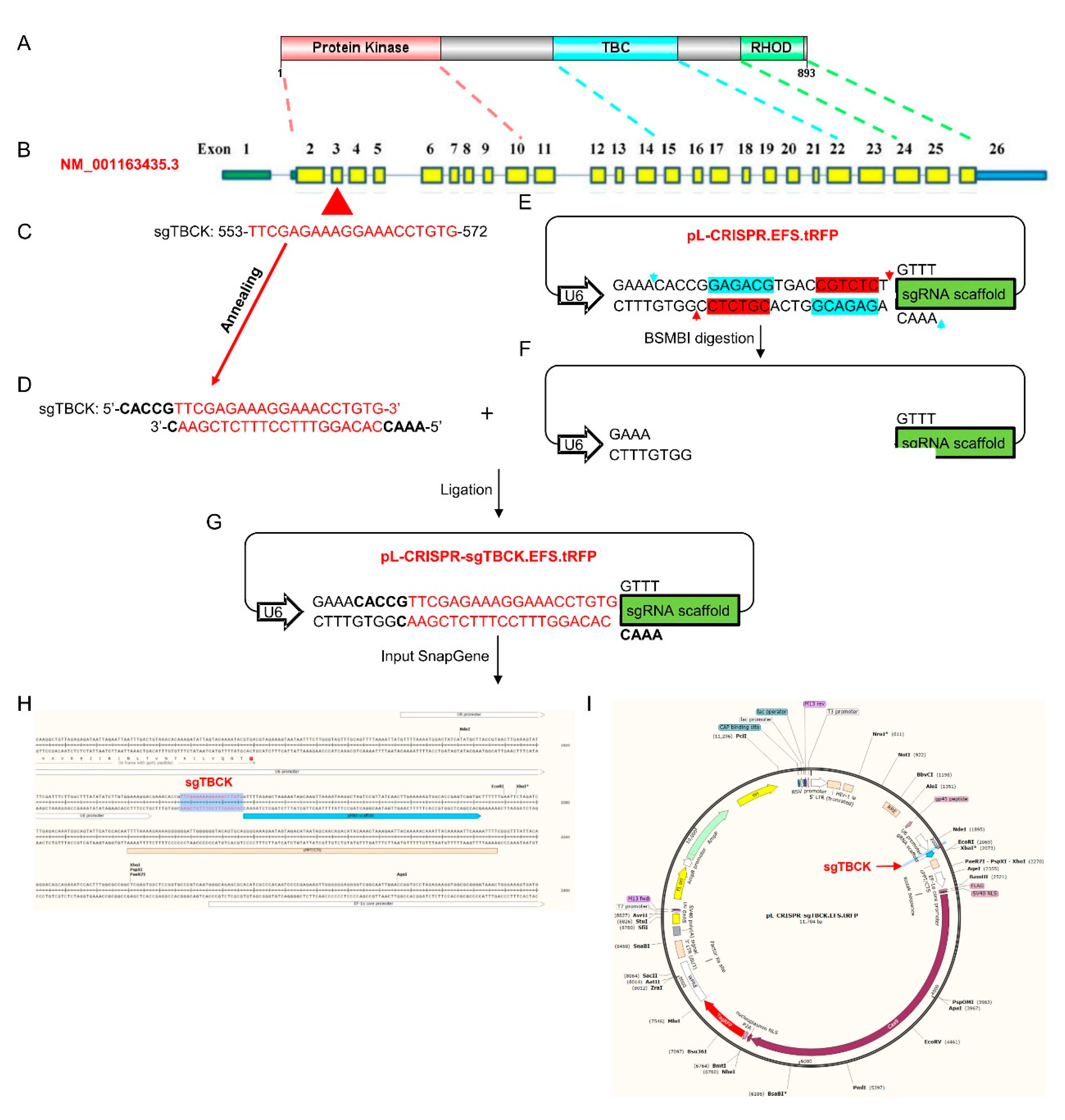 Preprints 82141 g002