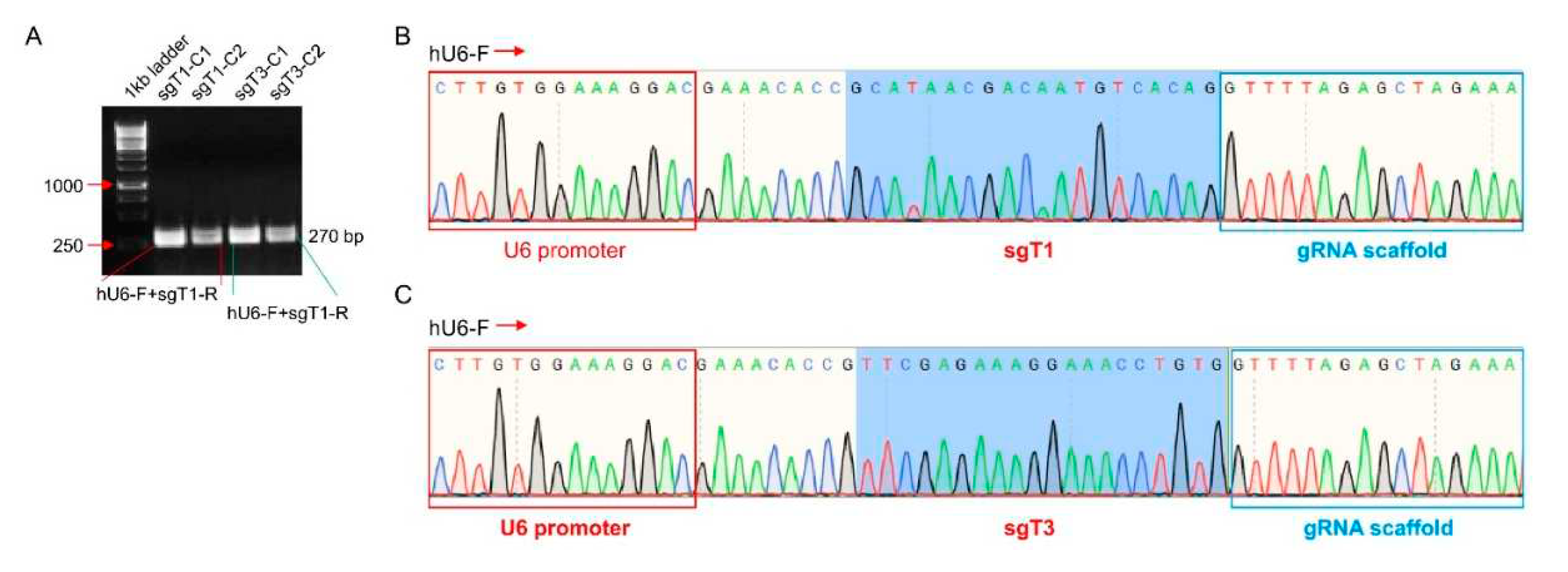 Preprints 82141 g003