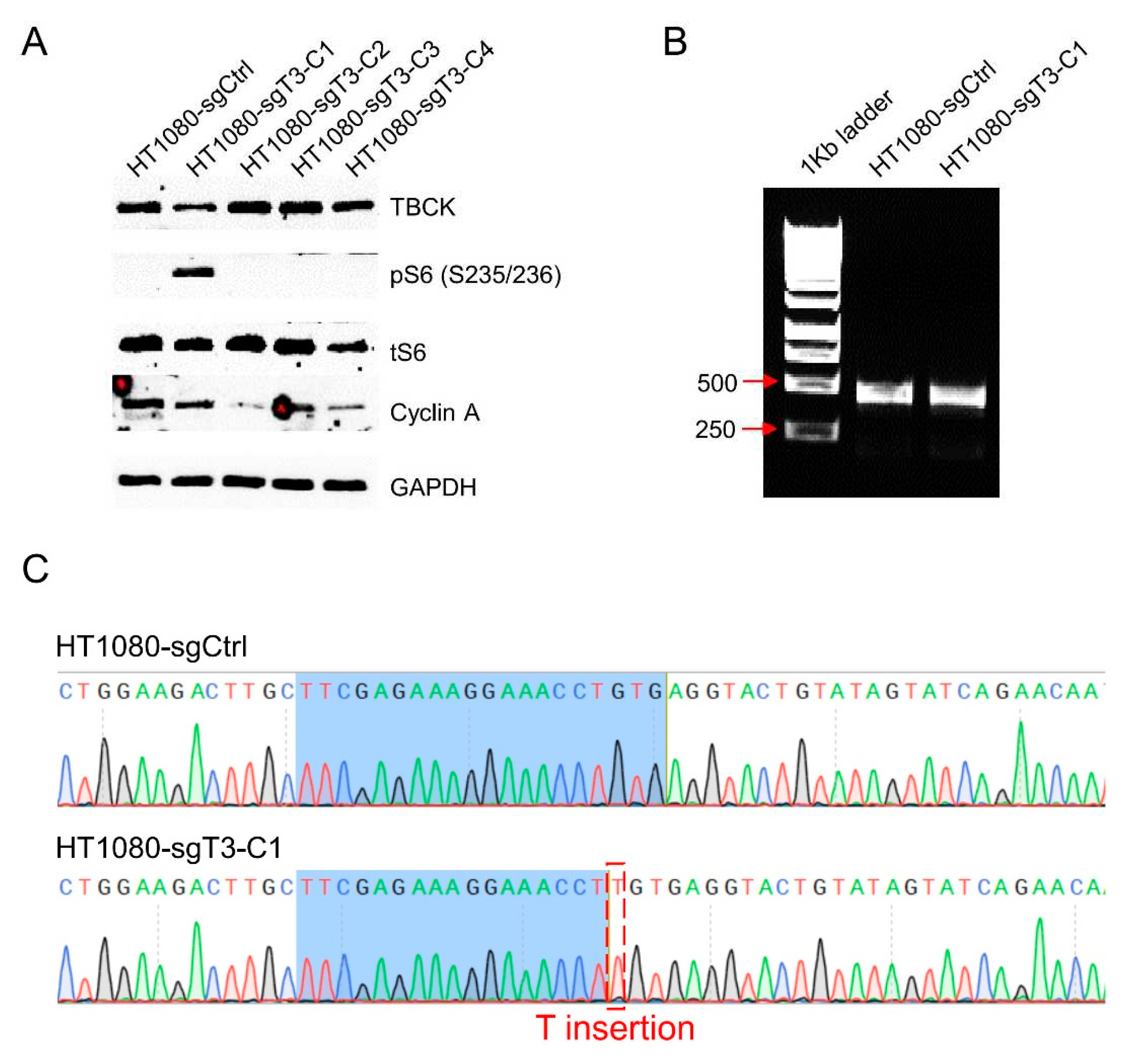 Preprints 82141 g007