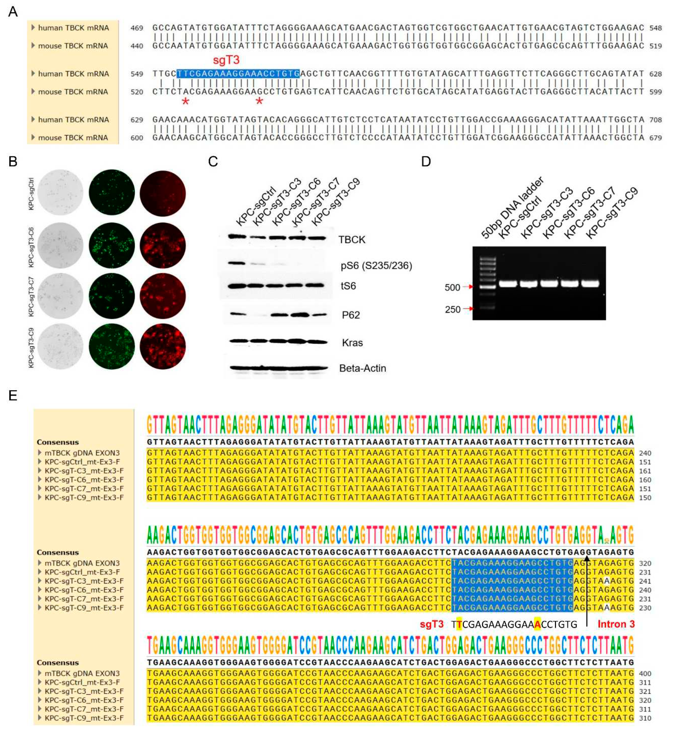 Preprints 82141 g008